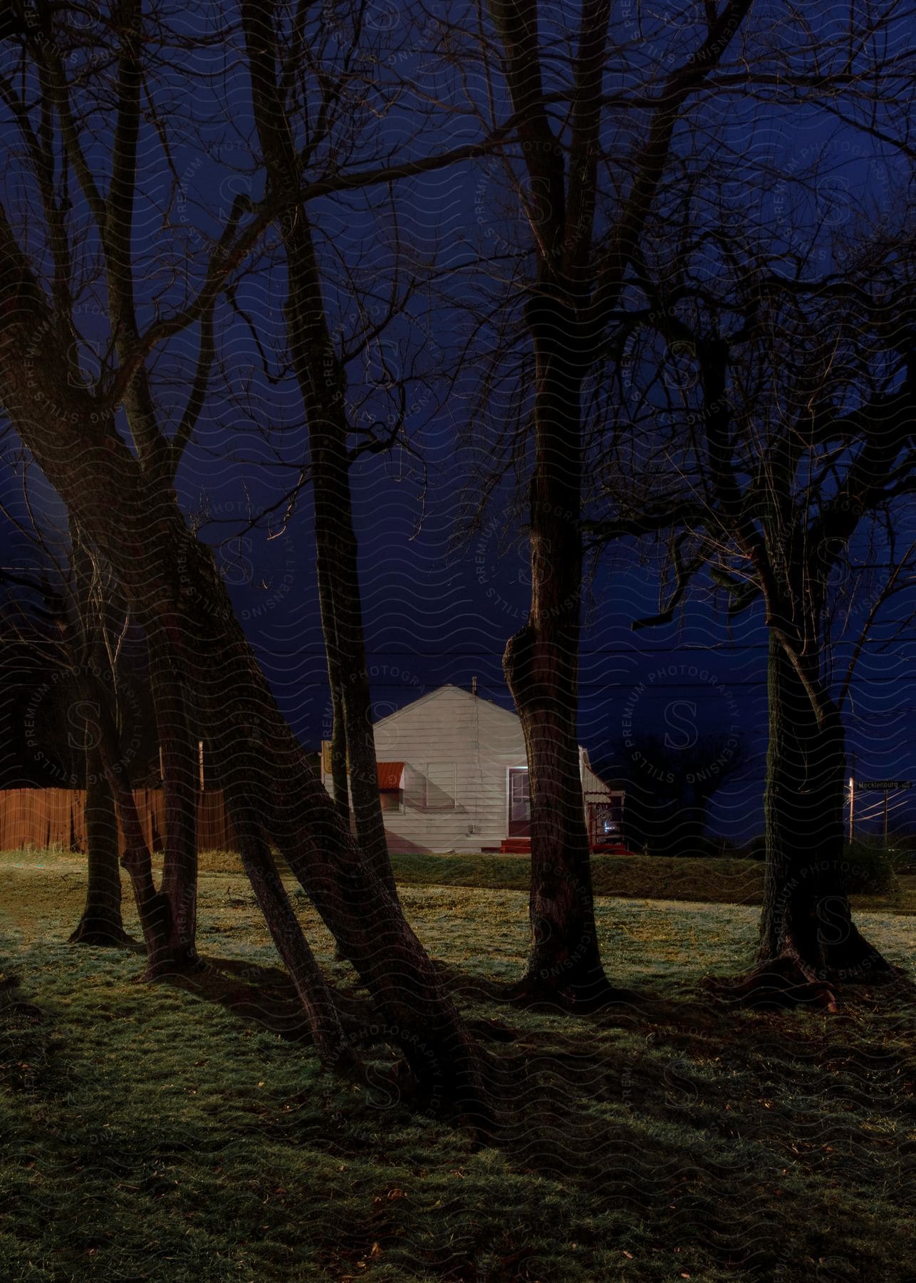 Looking through bare trees in a yard as light shines on a house in a neighborhood at night