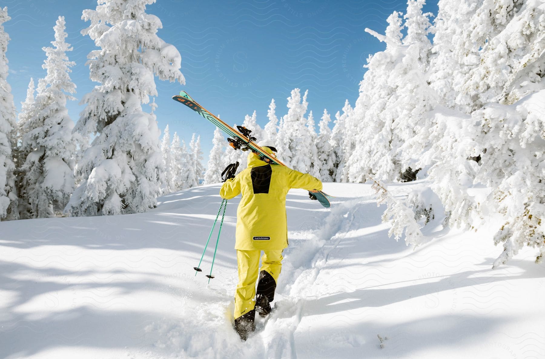 A person skiing on a snowy slope surrounded by trees