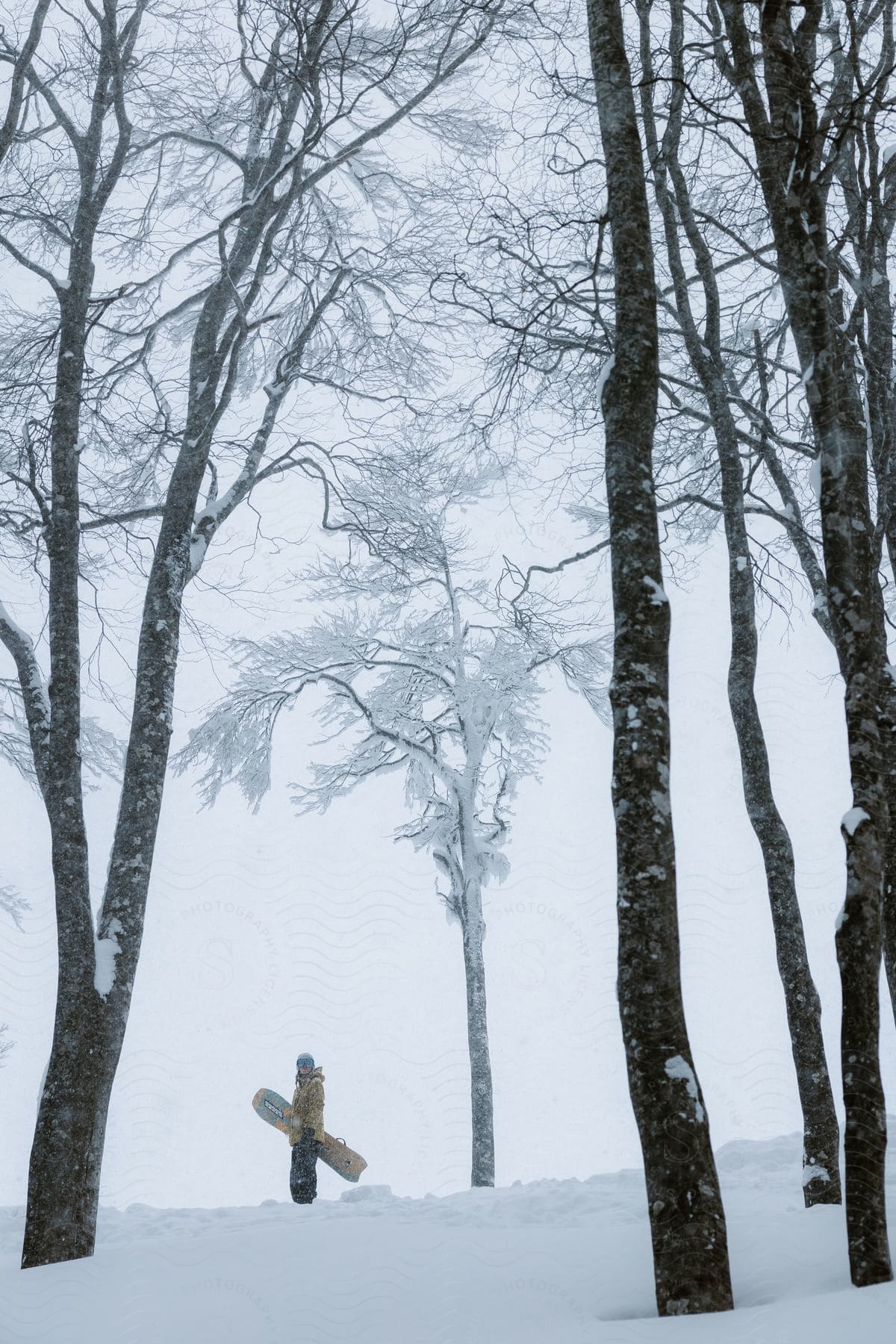 A man stands in the snow near trees holding his snowboard