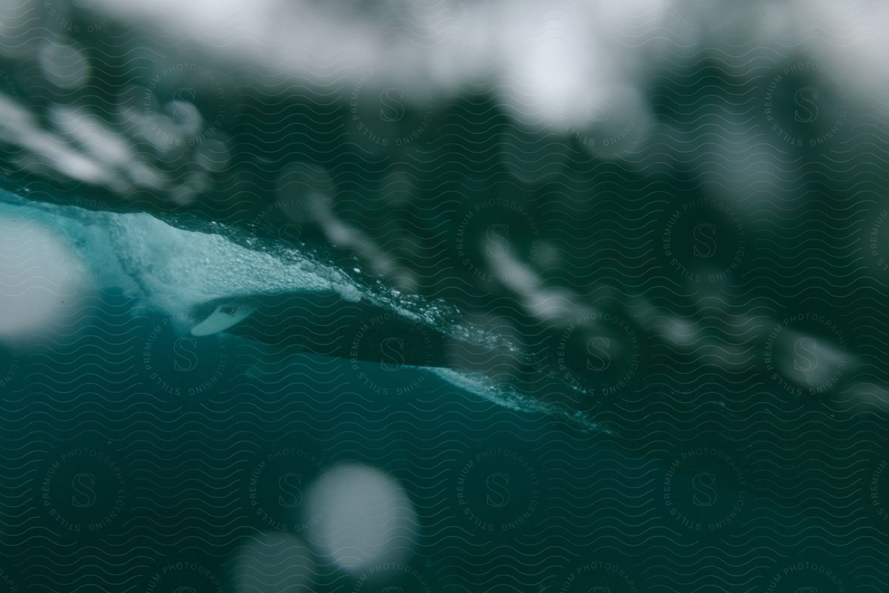 A surfboard being paddled in the water with the blurred surface above