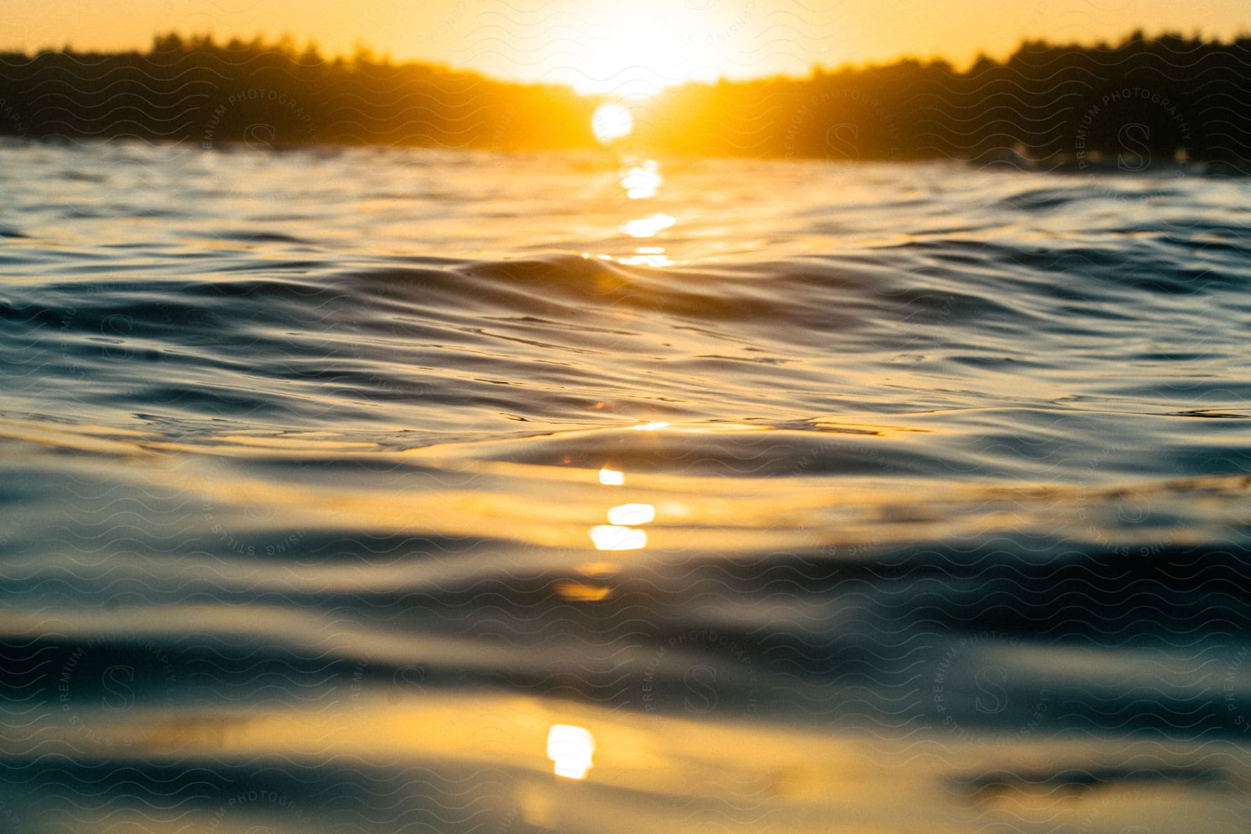 The sun shines over trees in a forest reflecting on ripples in the water