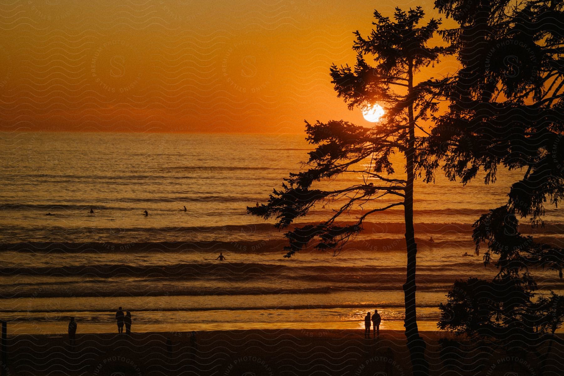 A small group of people enjoying the natural scenery of tofino british columbia with a lake and beach