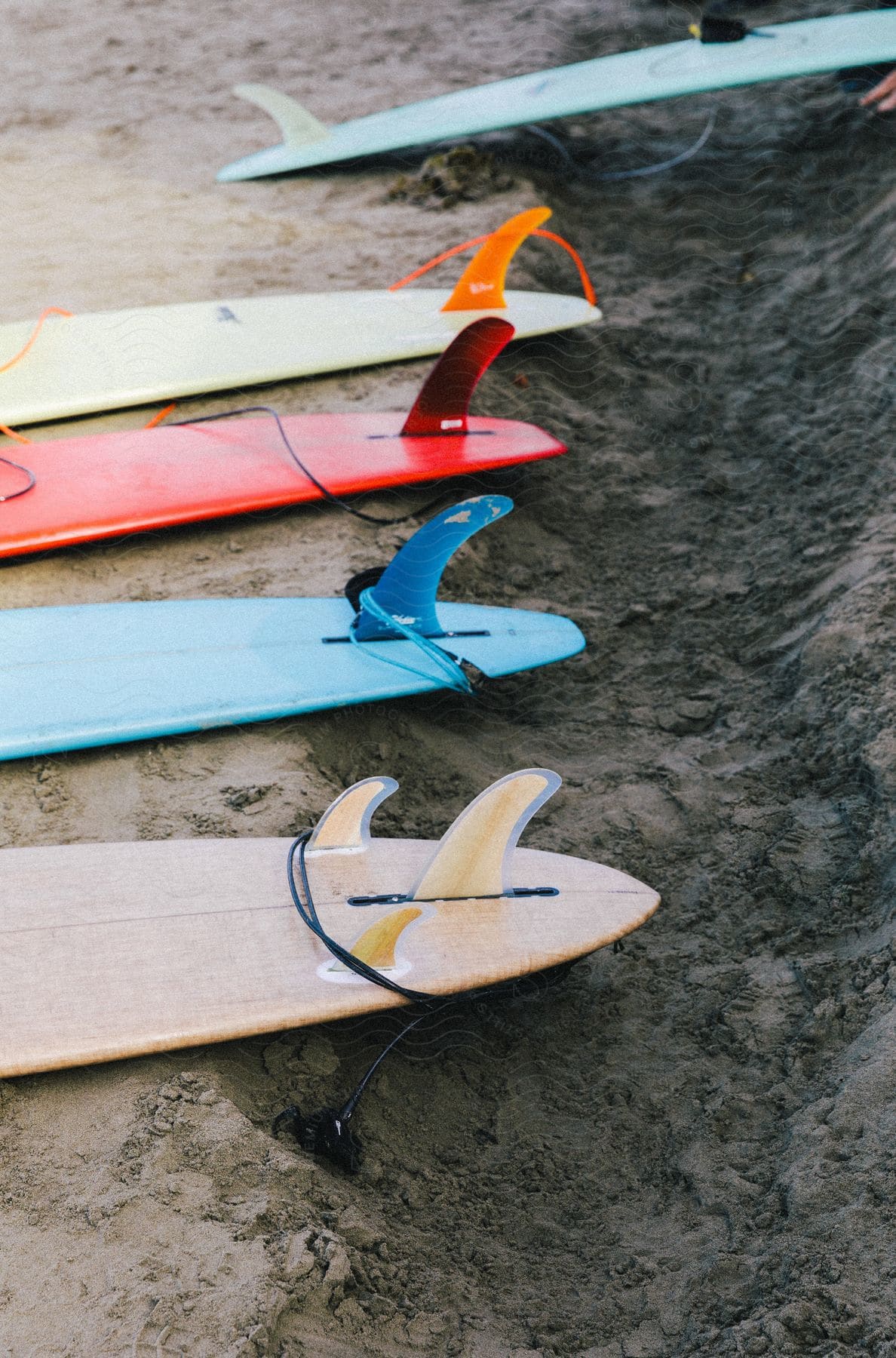 Surfboards resting beside a sandy ditch