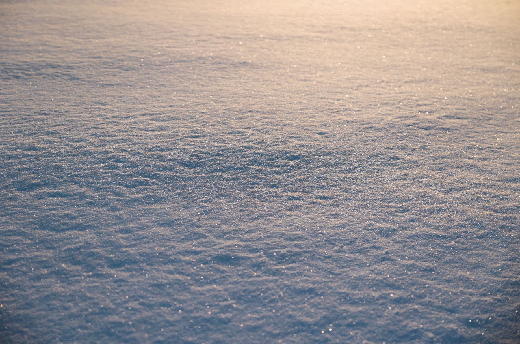Close up of shiny surface of fresh snow at evening