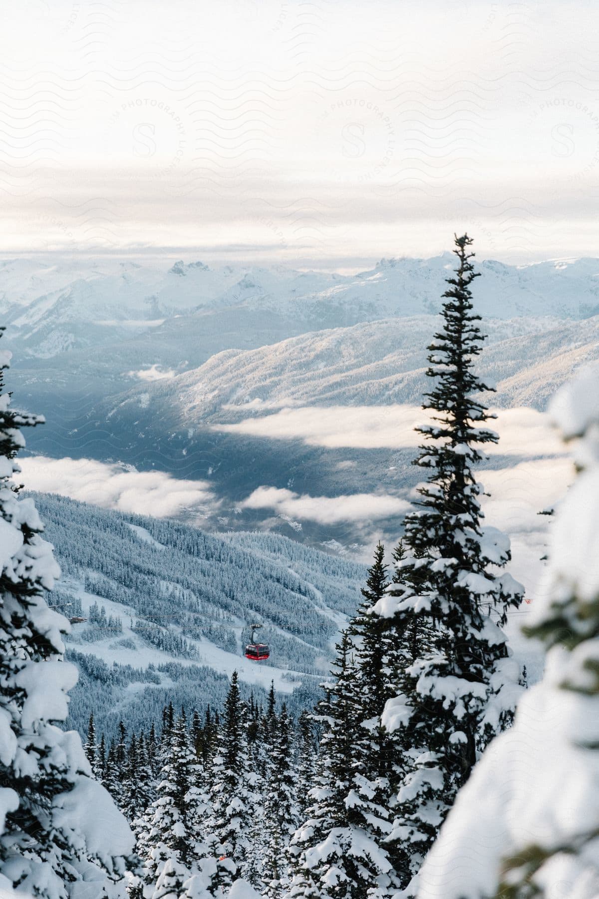 A snowcovered tree stands in the foreground framed by mountains while a red gondola adds a scenic touch to the landscape