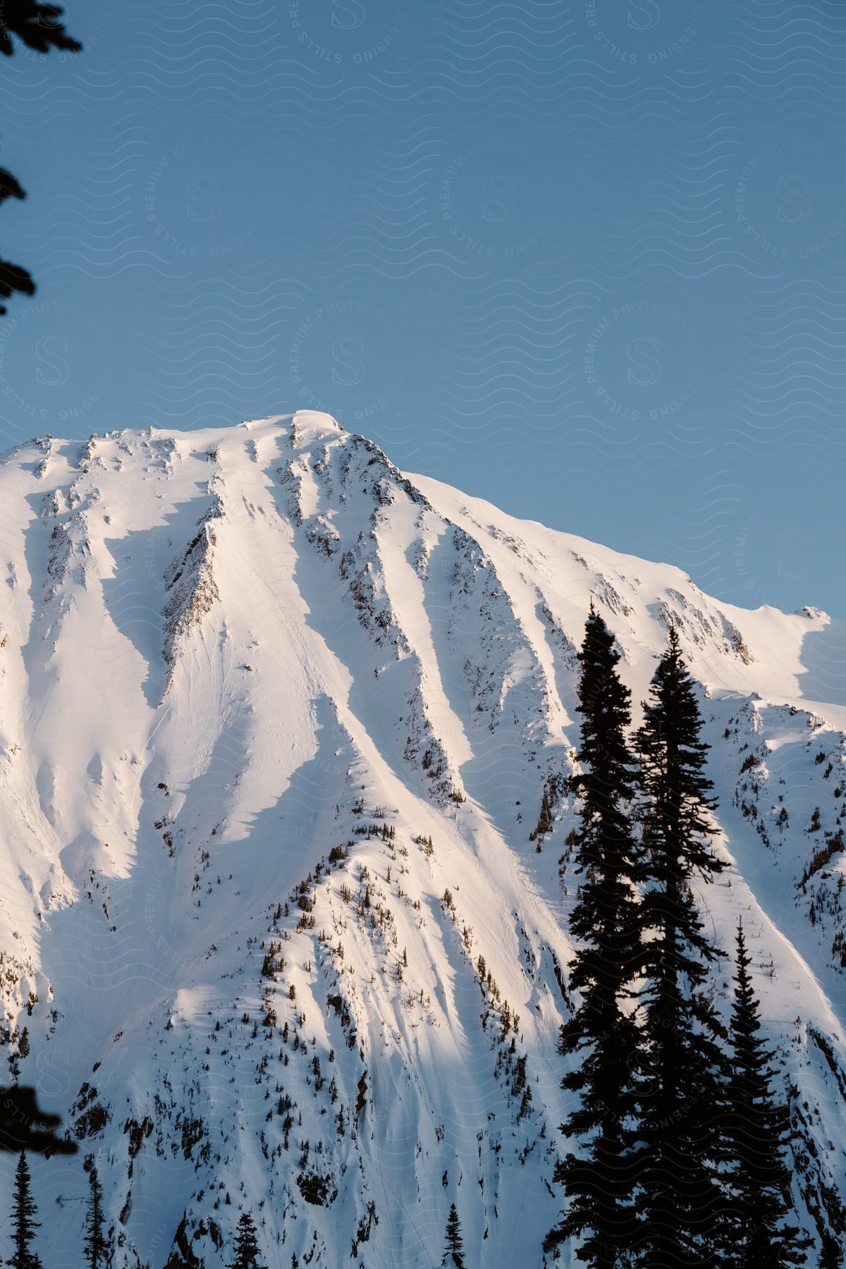 Sunset light illuminates snowcovered slopes of a mountain under a blue sky