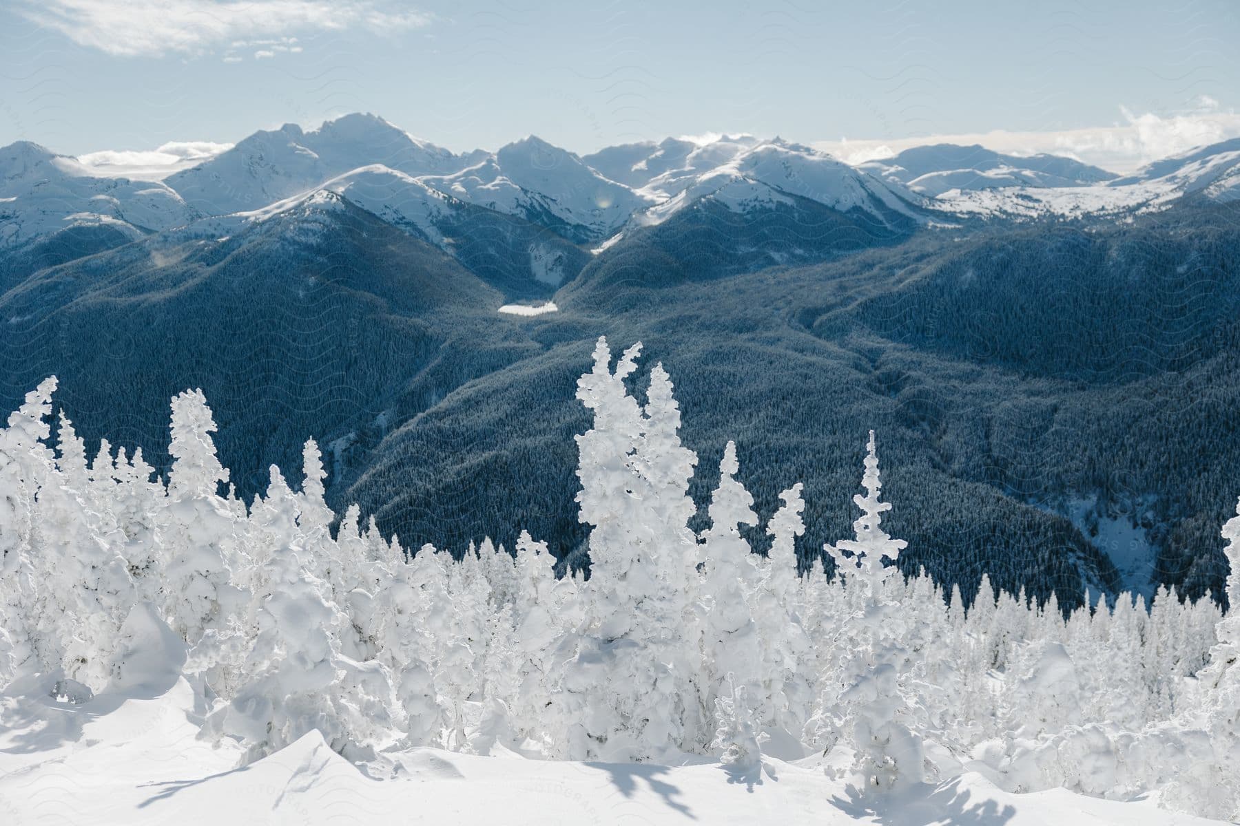 Ice covered trees on a snow covered hill with mountains in the distance