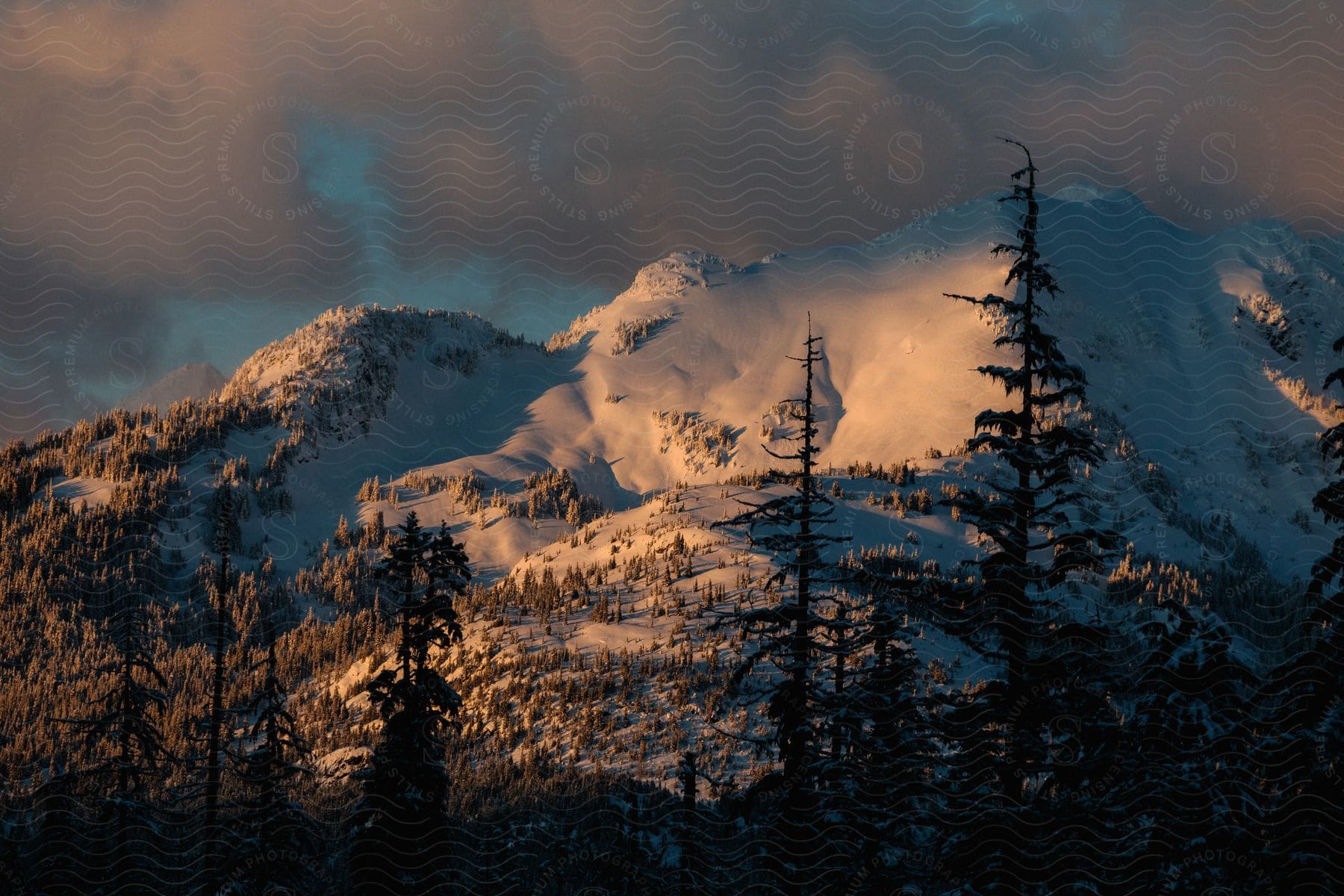 A scenic view of a mountain landscape with trees and snow