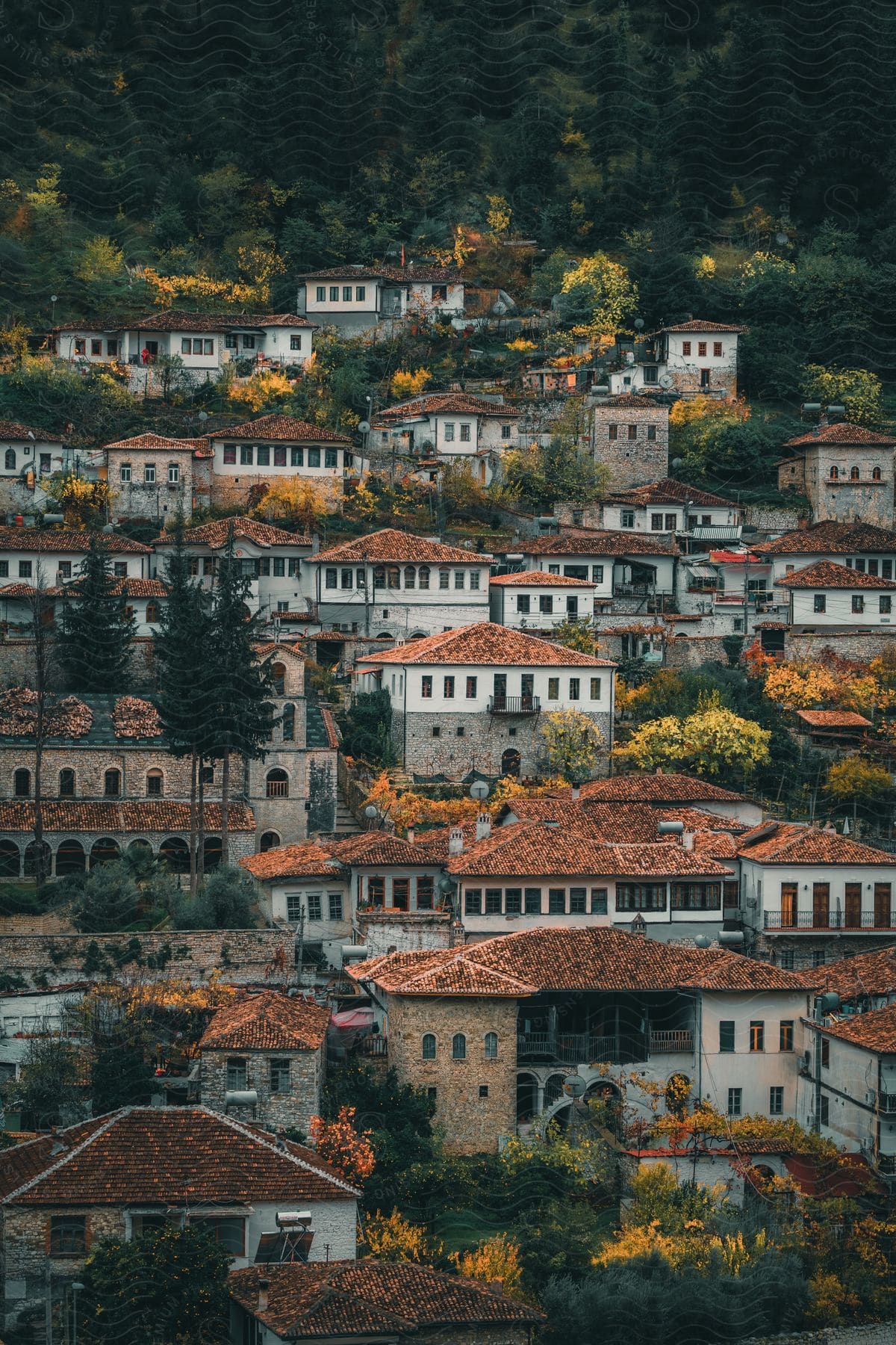 A european town with old buildings on the side of a mountain in the fall