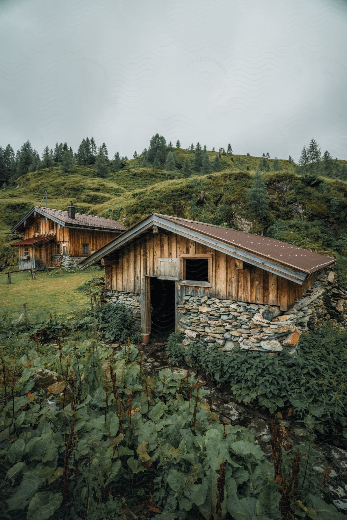 A landscape of a forest with a few wooden cottages