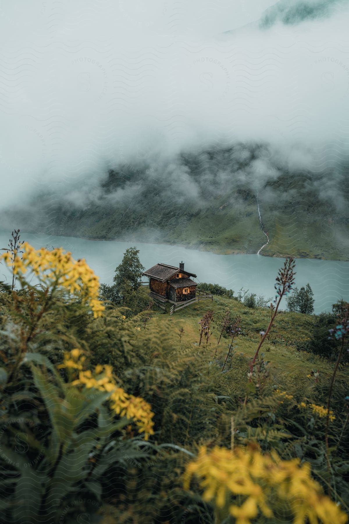 Austrias countryside with a cabin in the rainforest surrounded by mountains