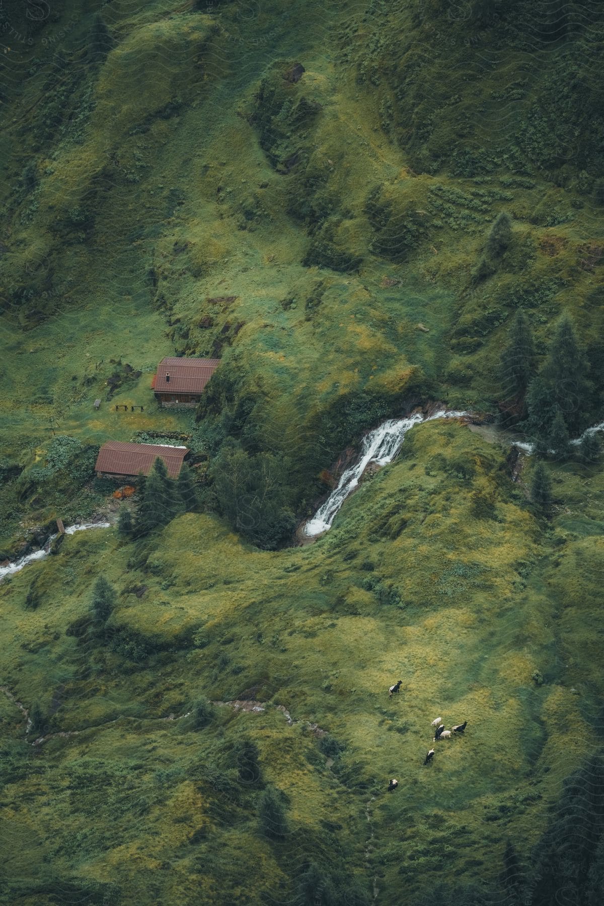 Aerial scene of huts and grazing animals in a plain with a river