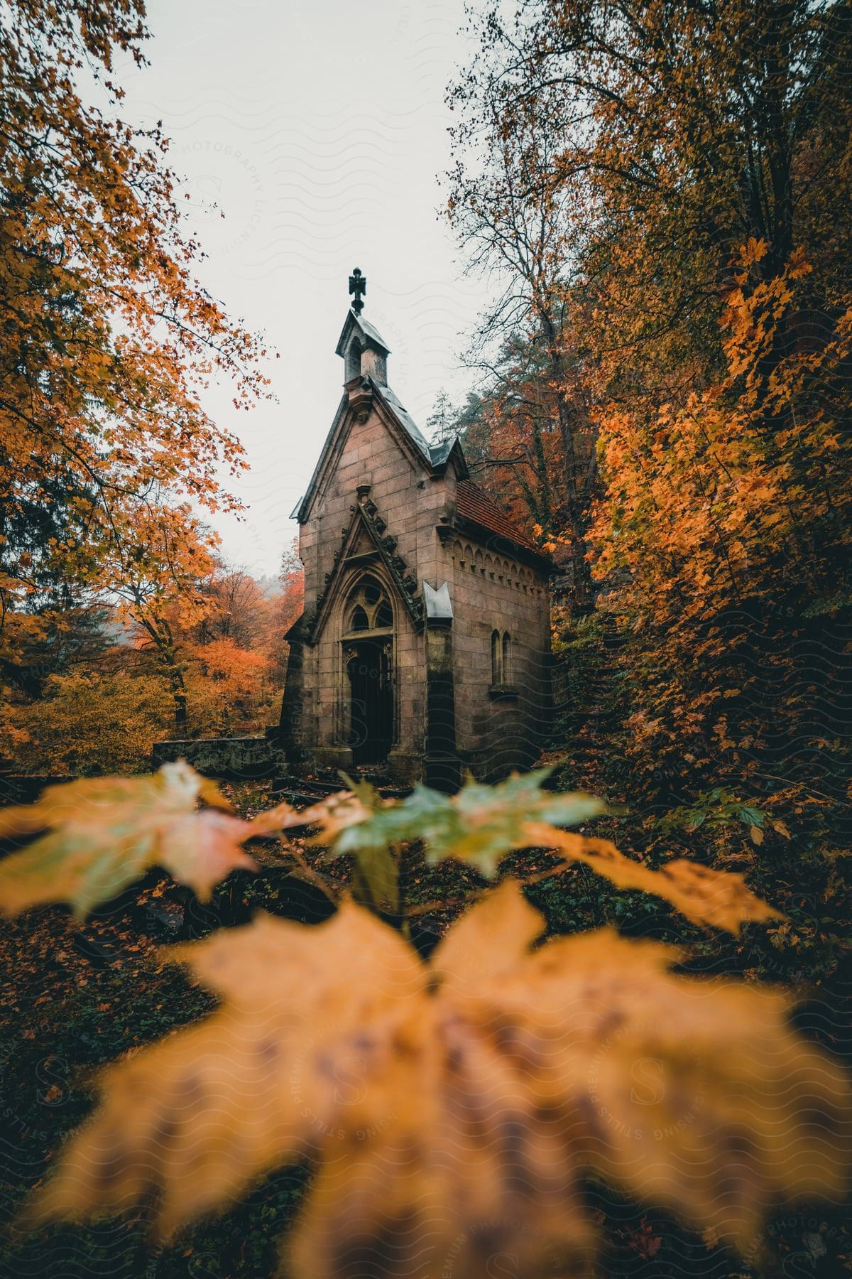 A building in a forest during the fall season