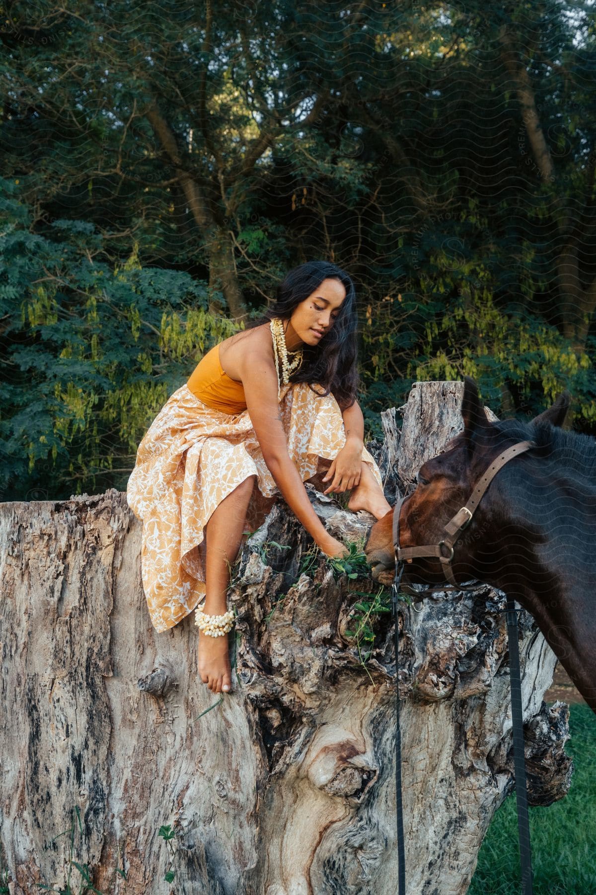 A woman riding a horse in nature