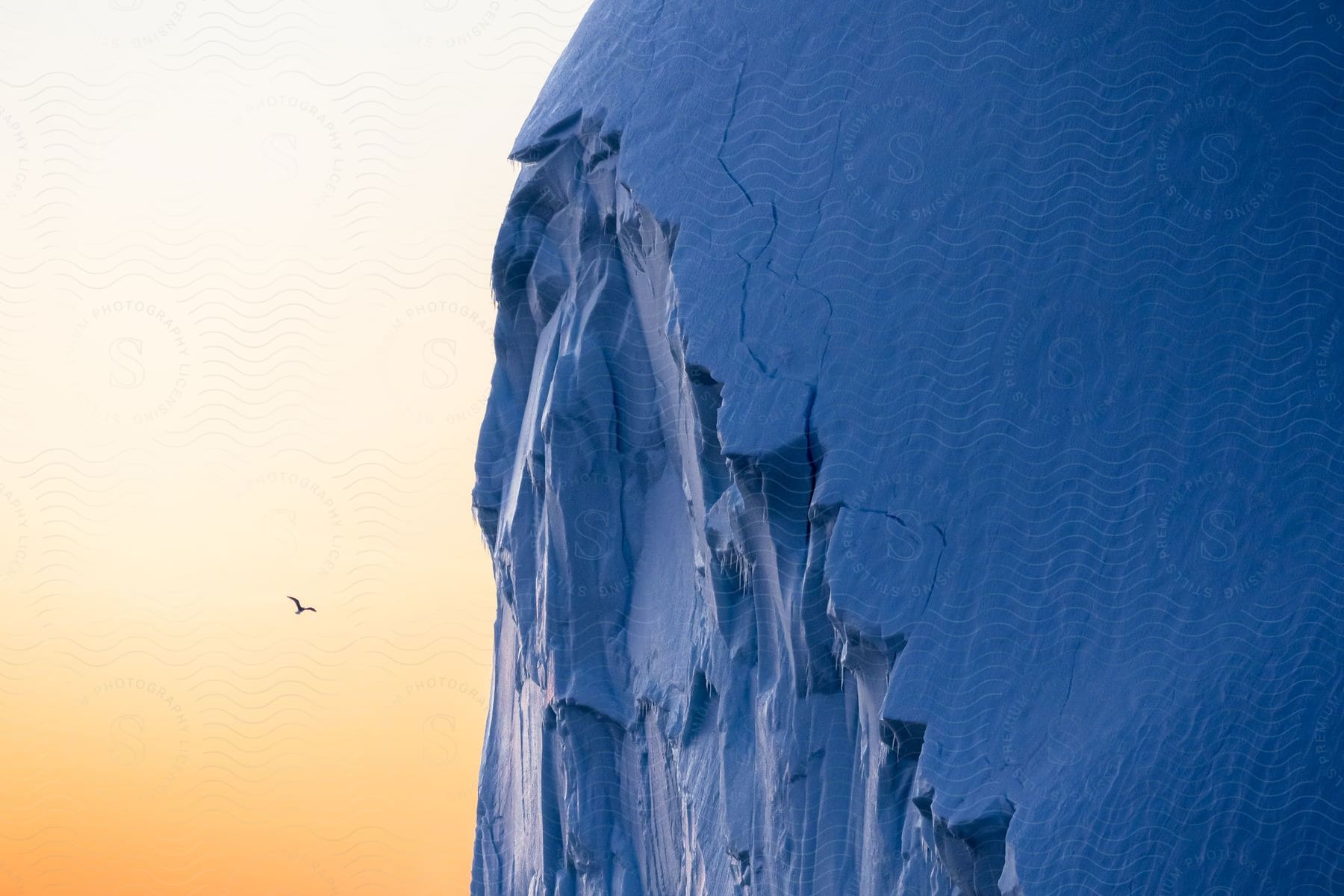 A bird flies near a melting glacier in greenland during the winter season