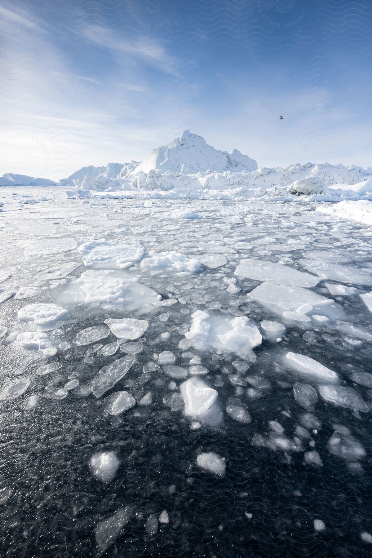 A bird flies over melting ice in arctic water surrounded by glaciers