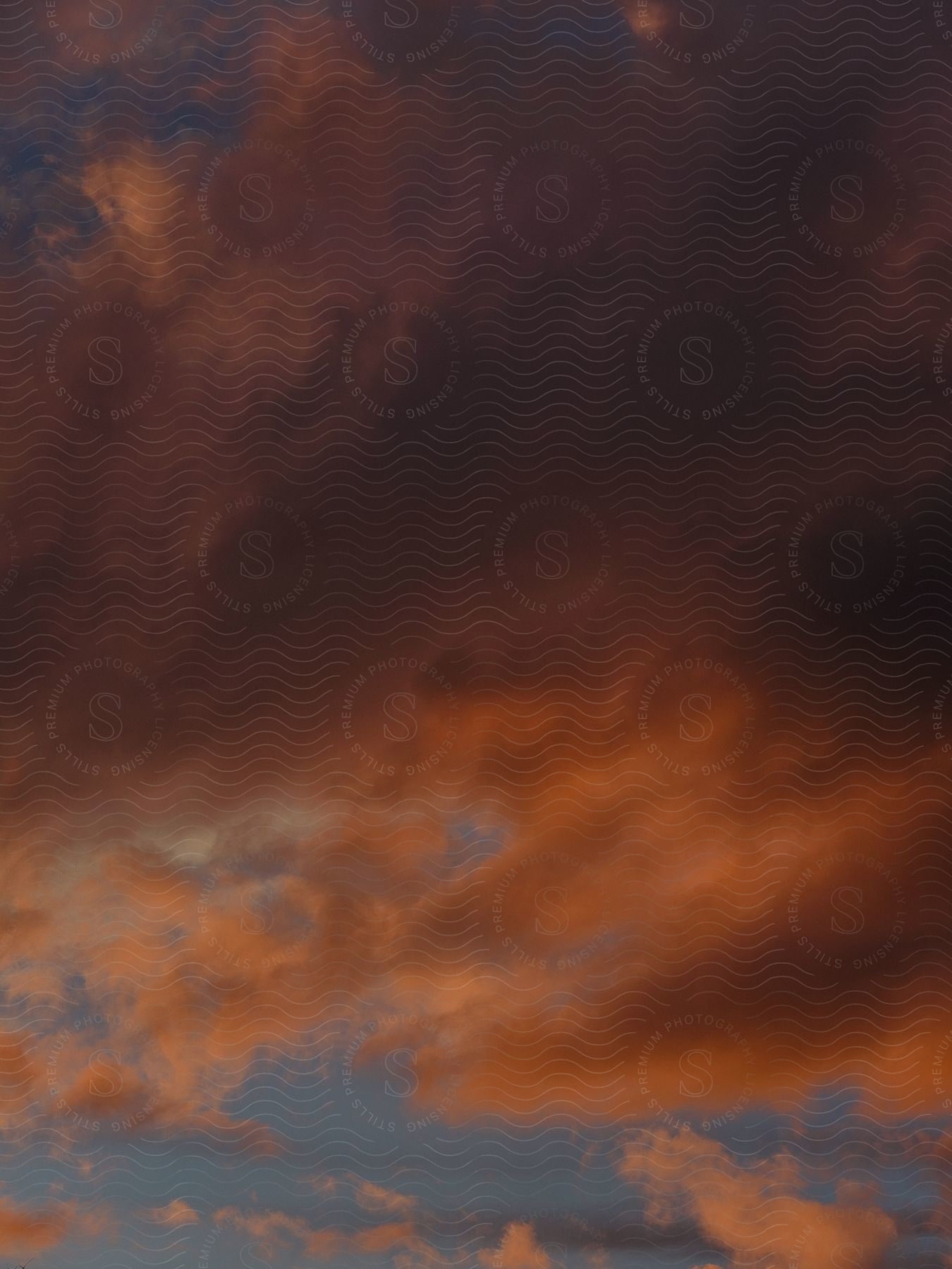 Red sunlight shines on cumulus clouds in a sunset sky