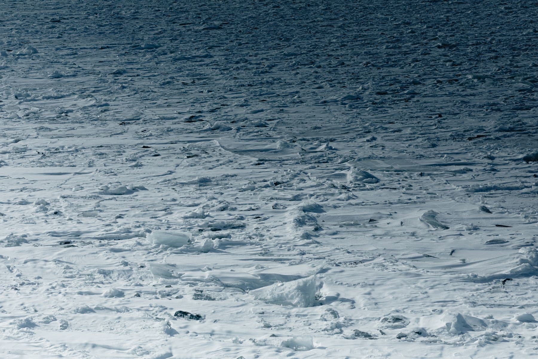 Arctic landscape covered in snow