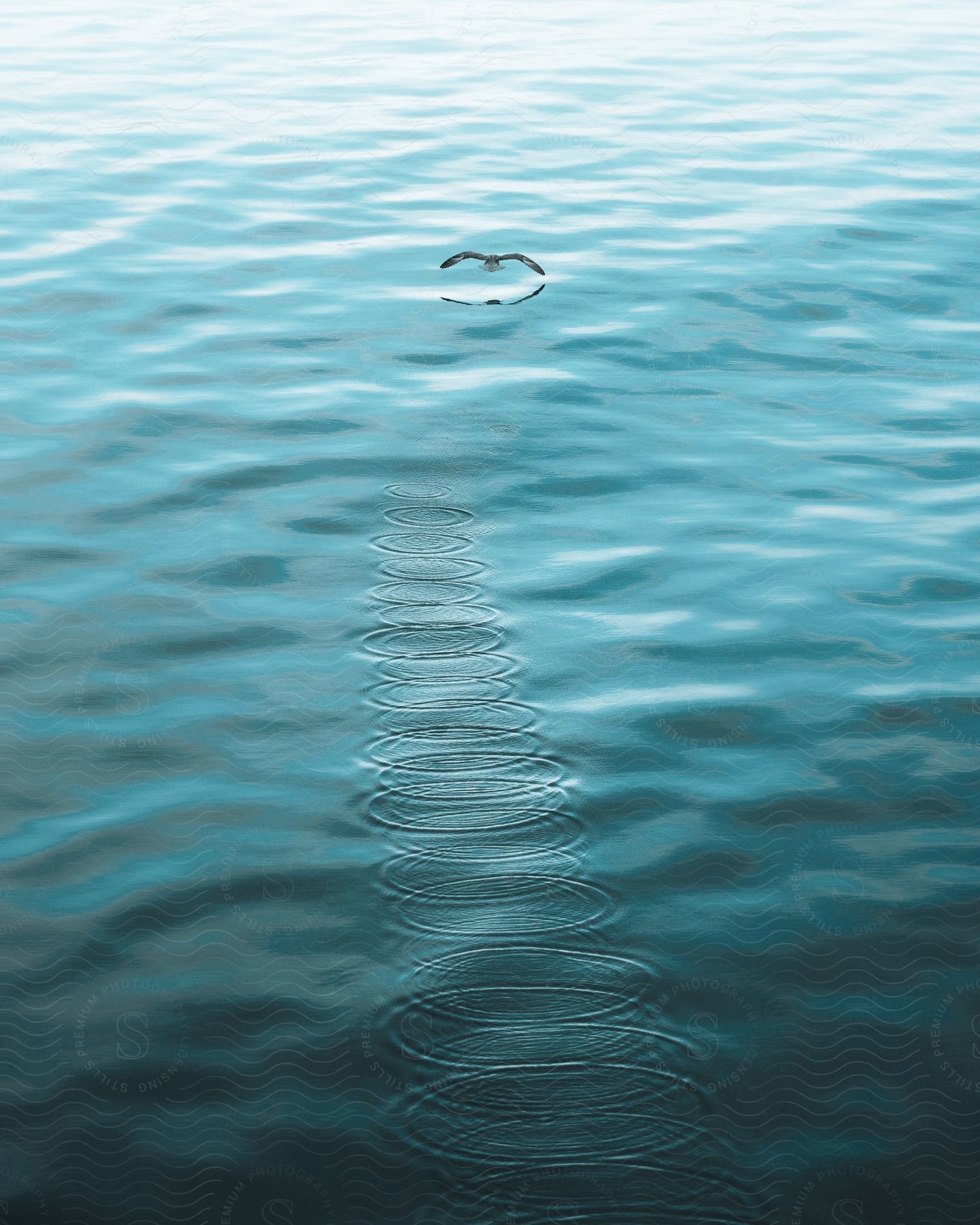 A bird flies above the ocean as circles decorate the sky