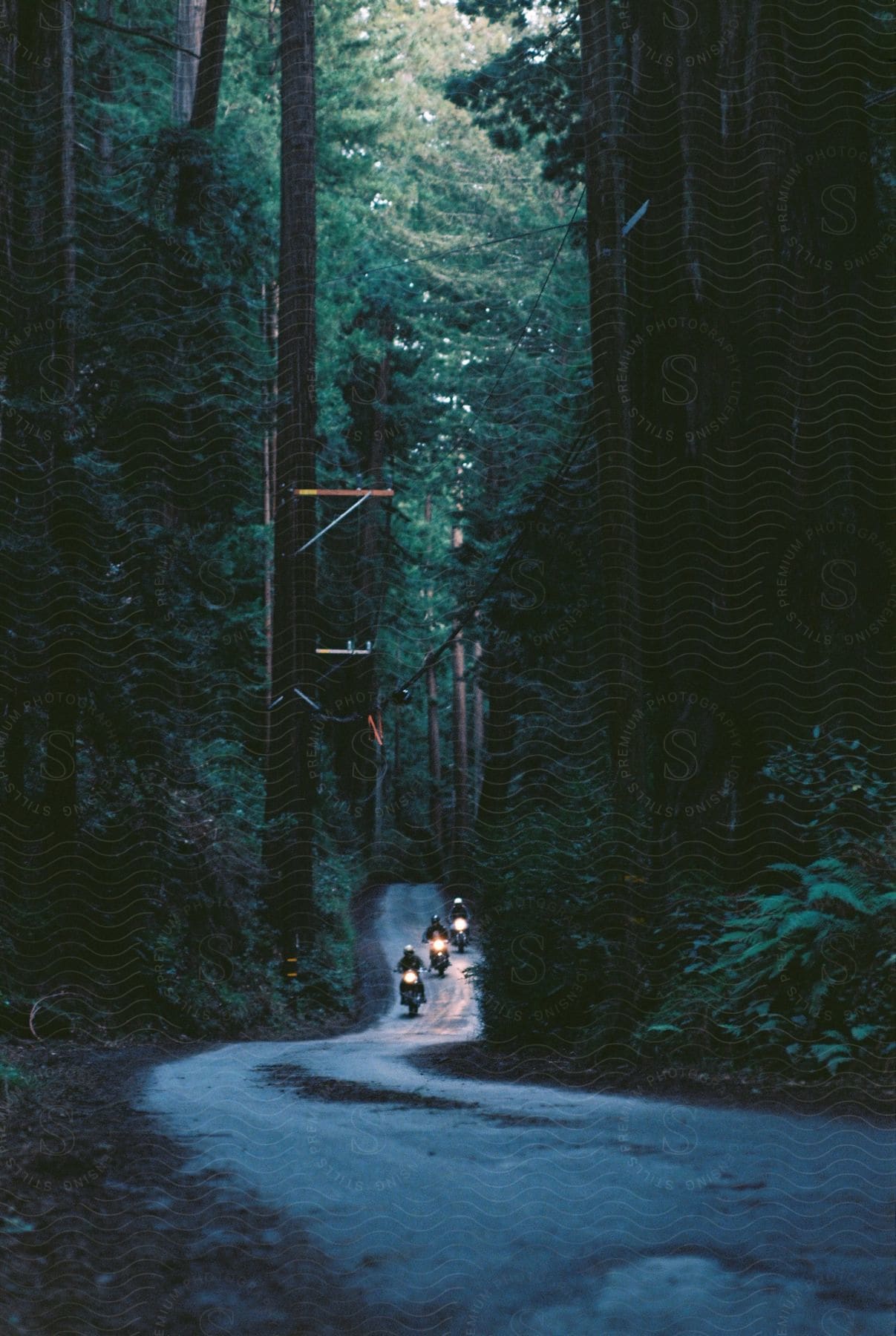 Motorcyclists drive down a curvy highway through the woods