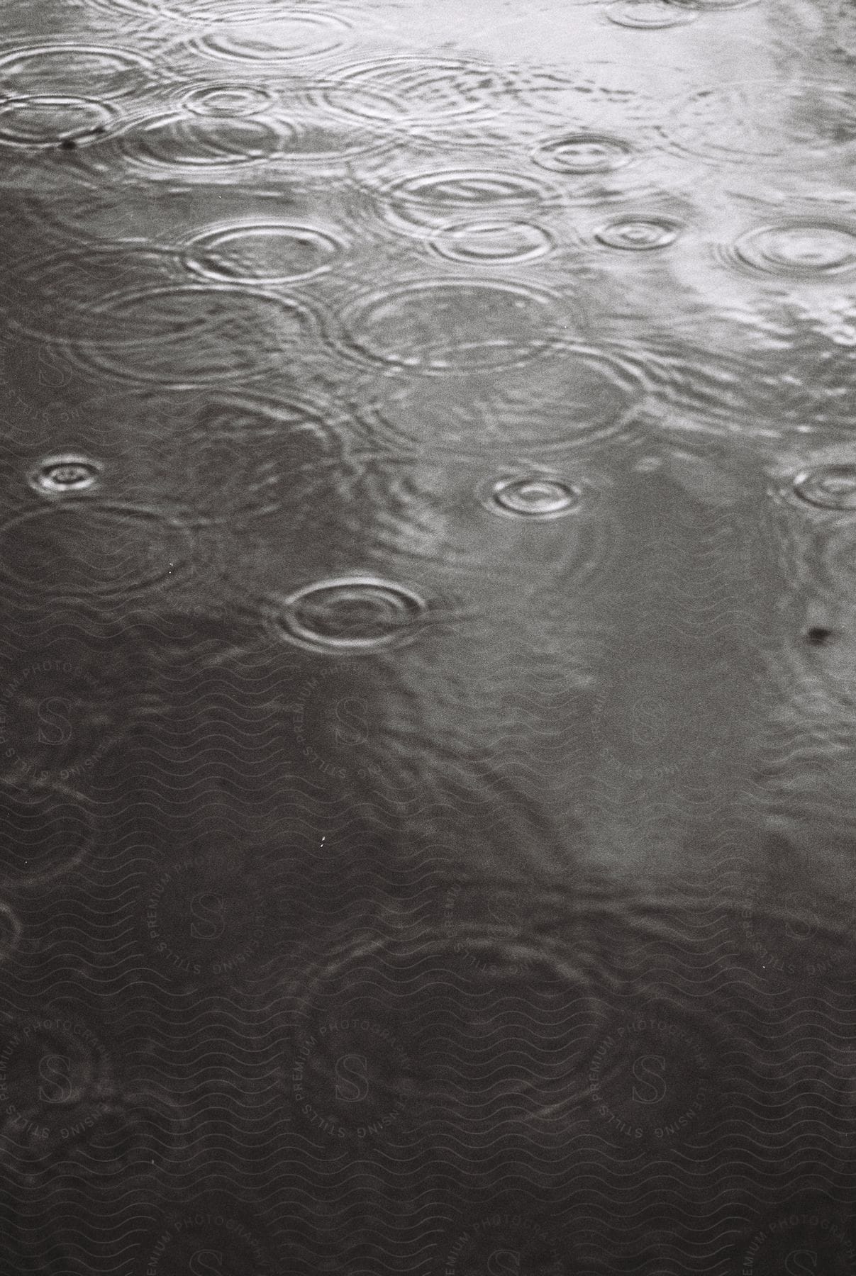 Droplets create small ripples on a lake