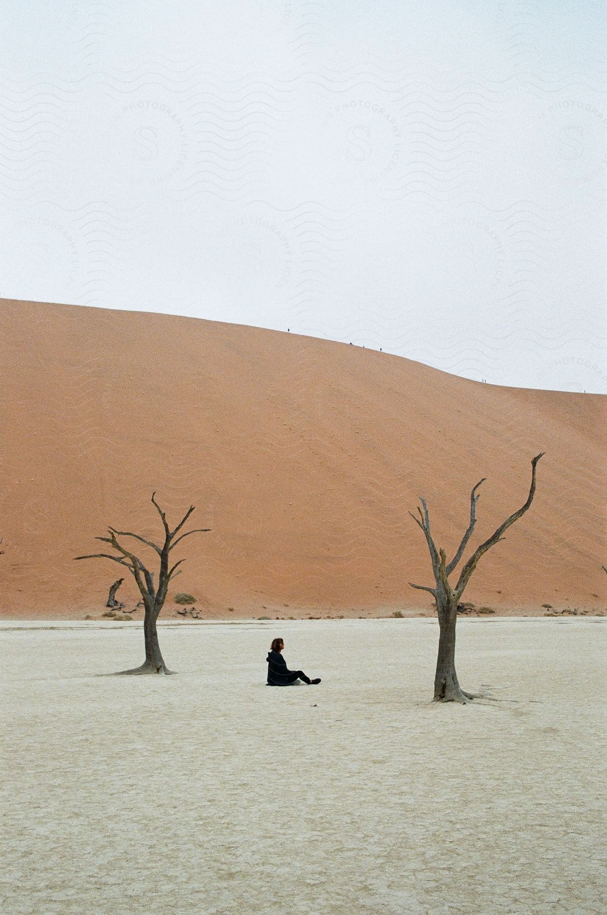 A person stands alone in a desert landscape surrounded by trees and vegetation