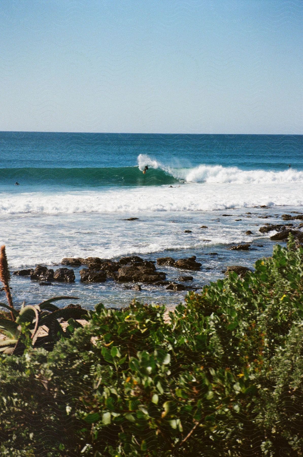 Surfers riding waves on the coast