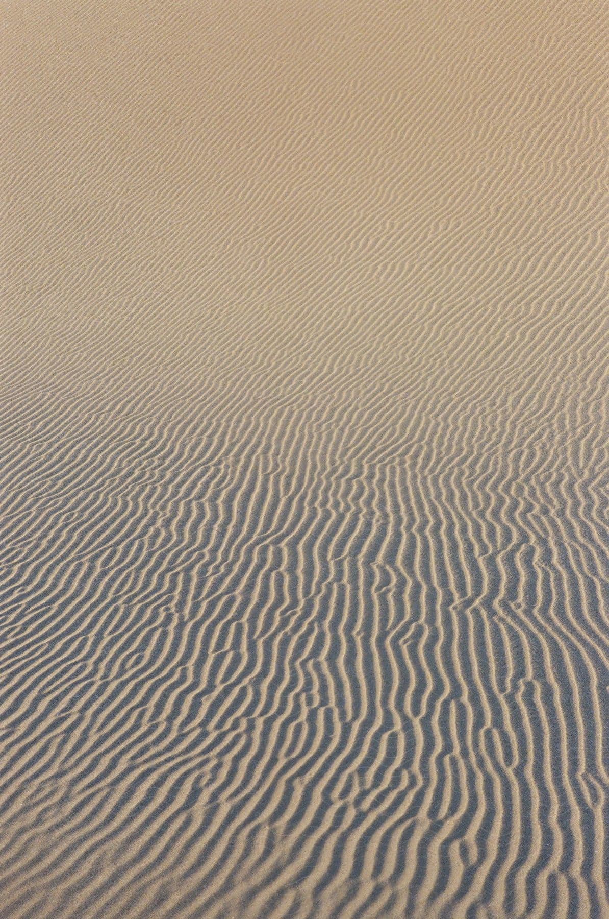 Stock photo of a vast field covered in fine sand arranged in intricate patterns creating a symmetrical design