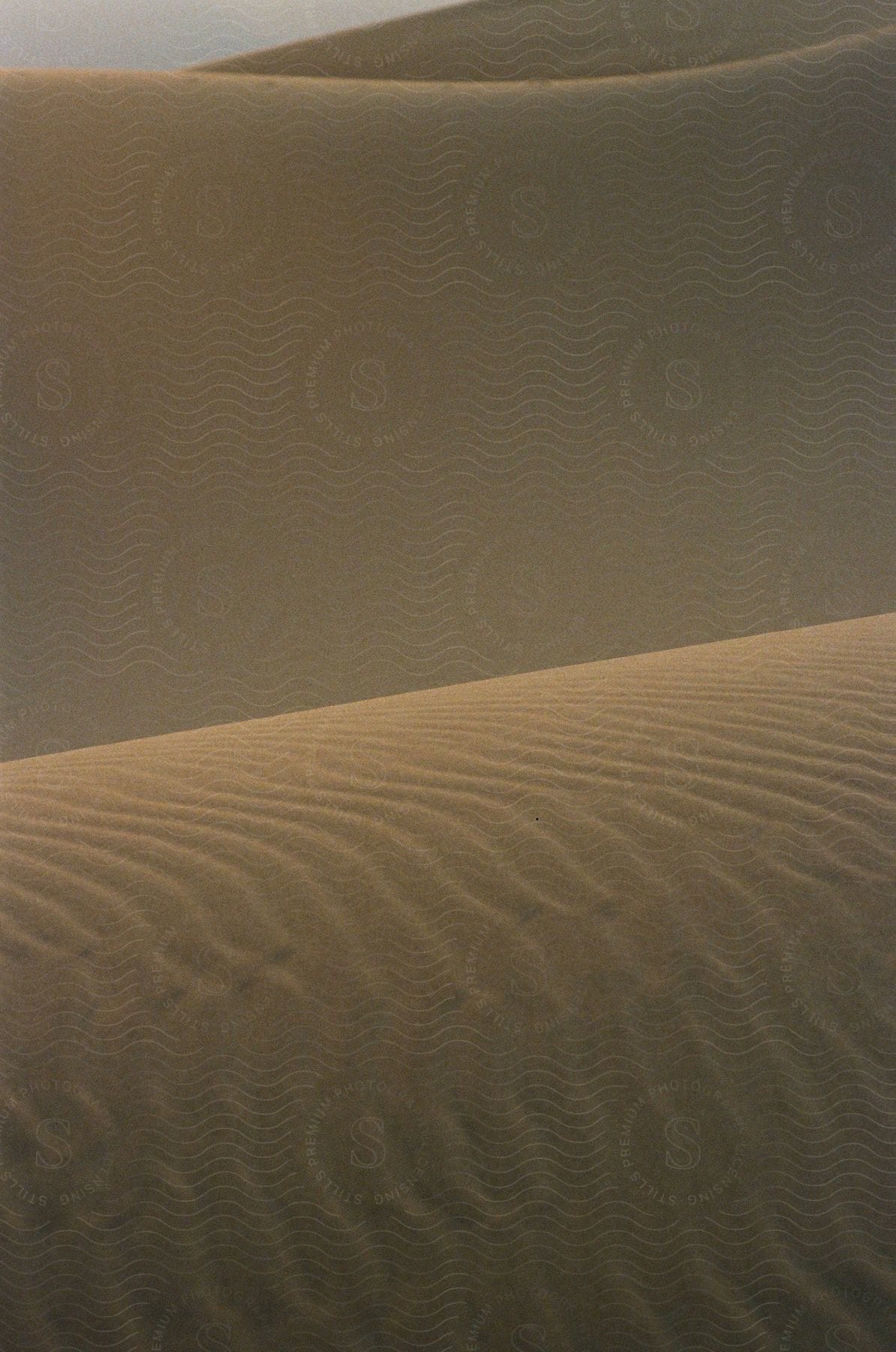 A brown desert dune with a cloudy sky