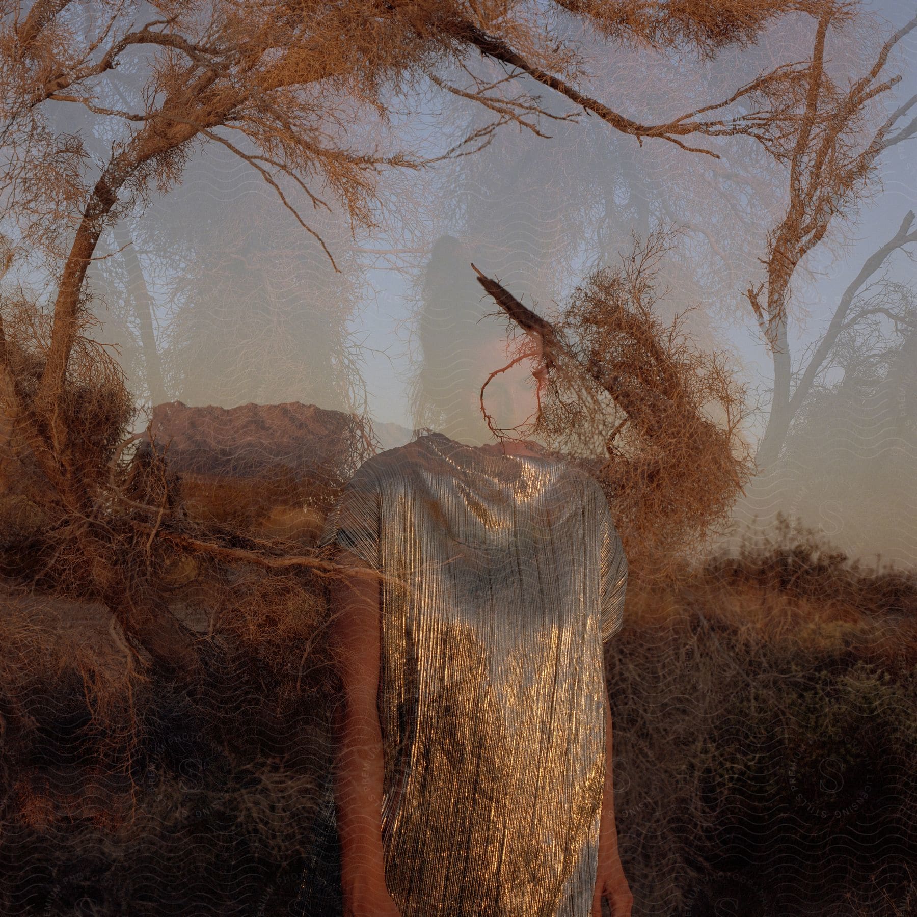 A woman wearing a shiny dress is double exposed over dead brush with a mountain in the distance