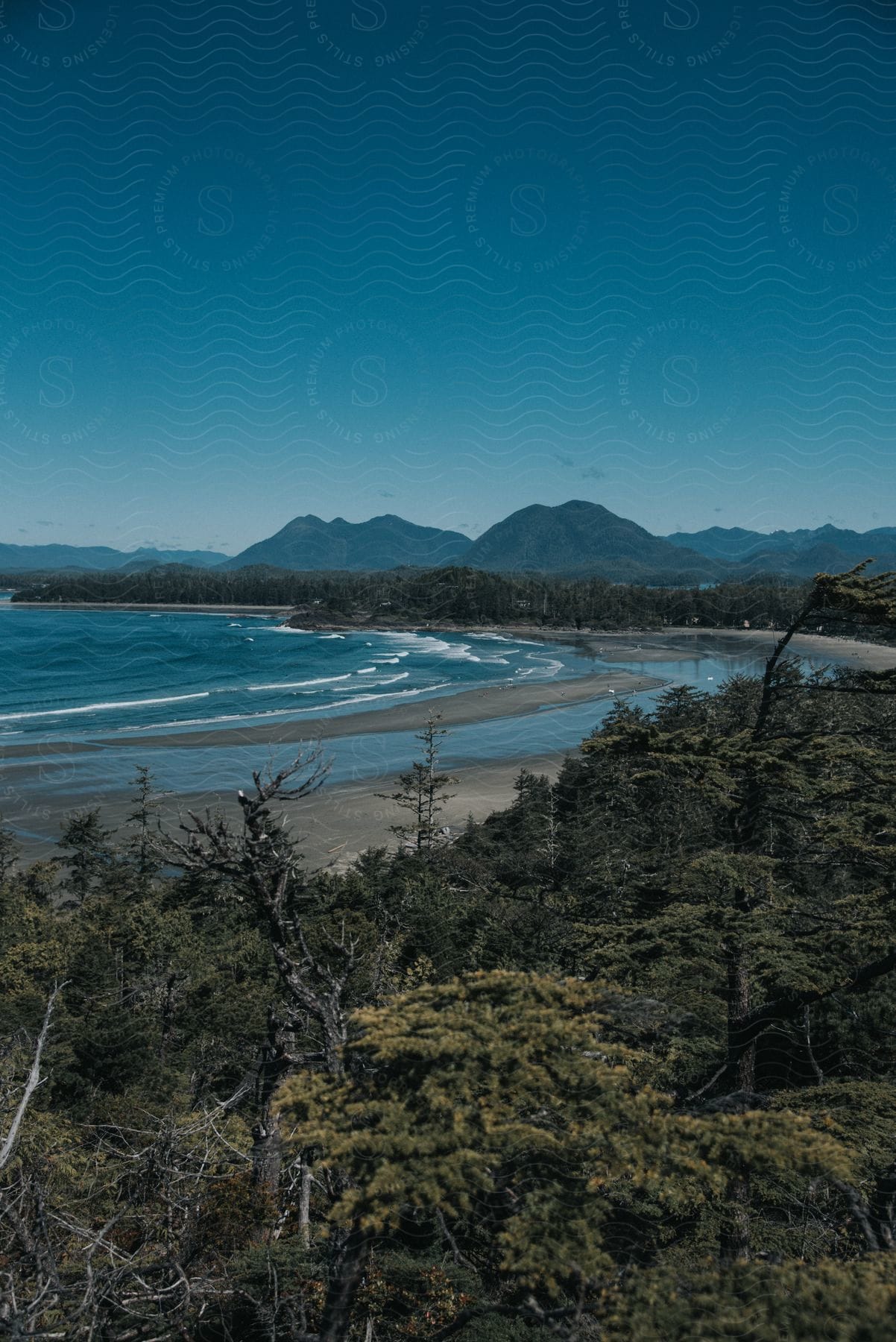 A beach next to the sea surrounded by trees and mountains