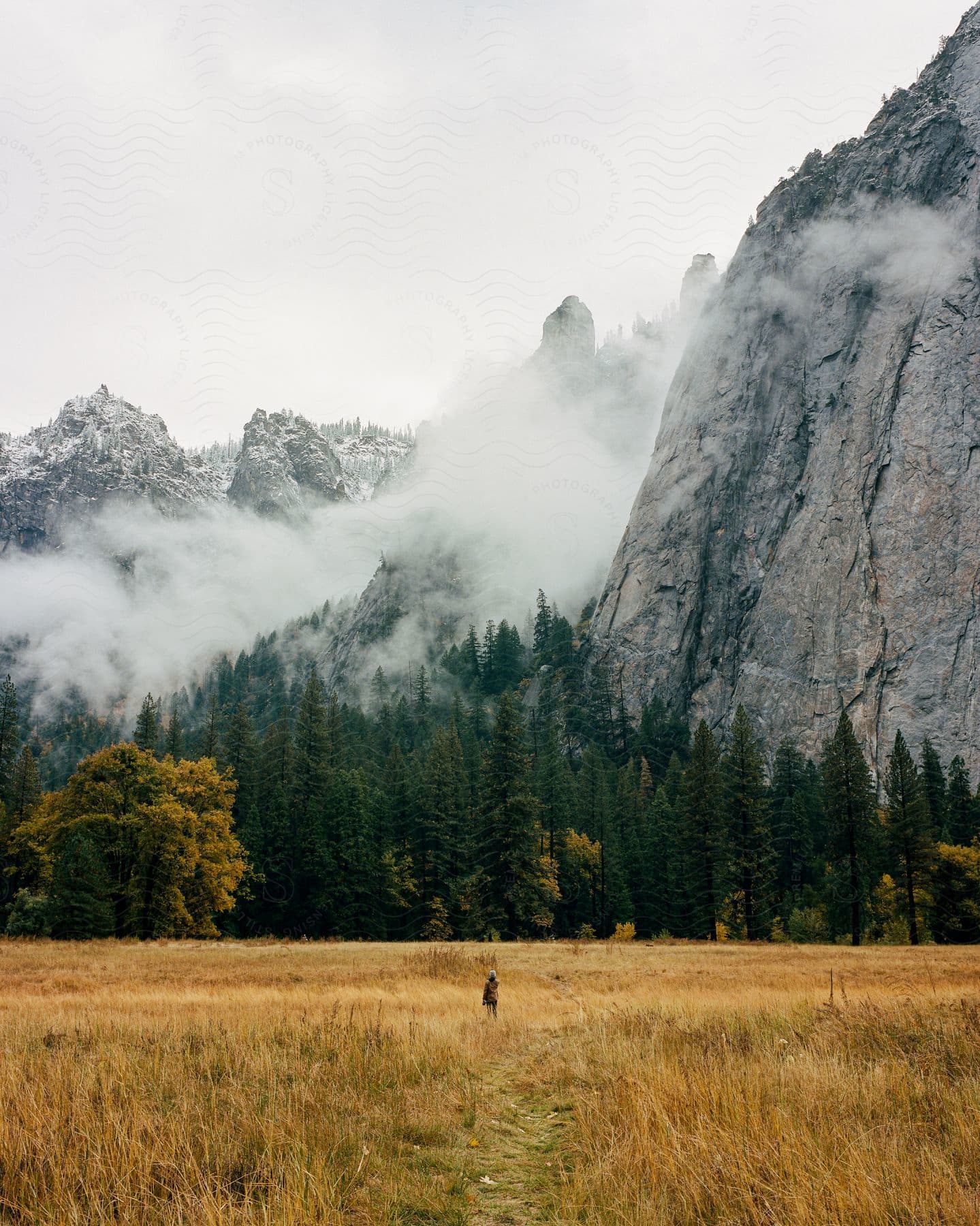 A person stands in an open field looking at a foggy mountain with a forest below