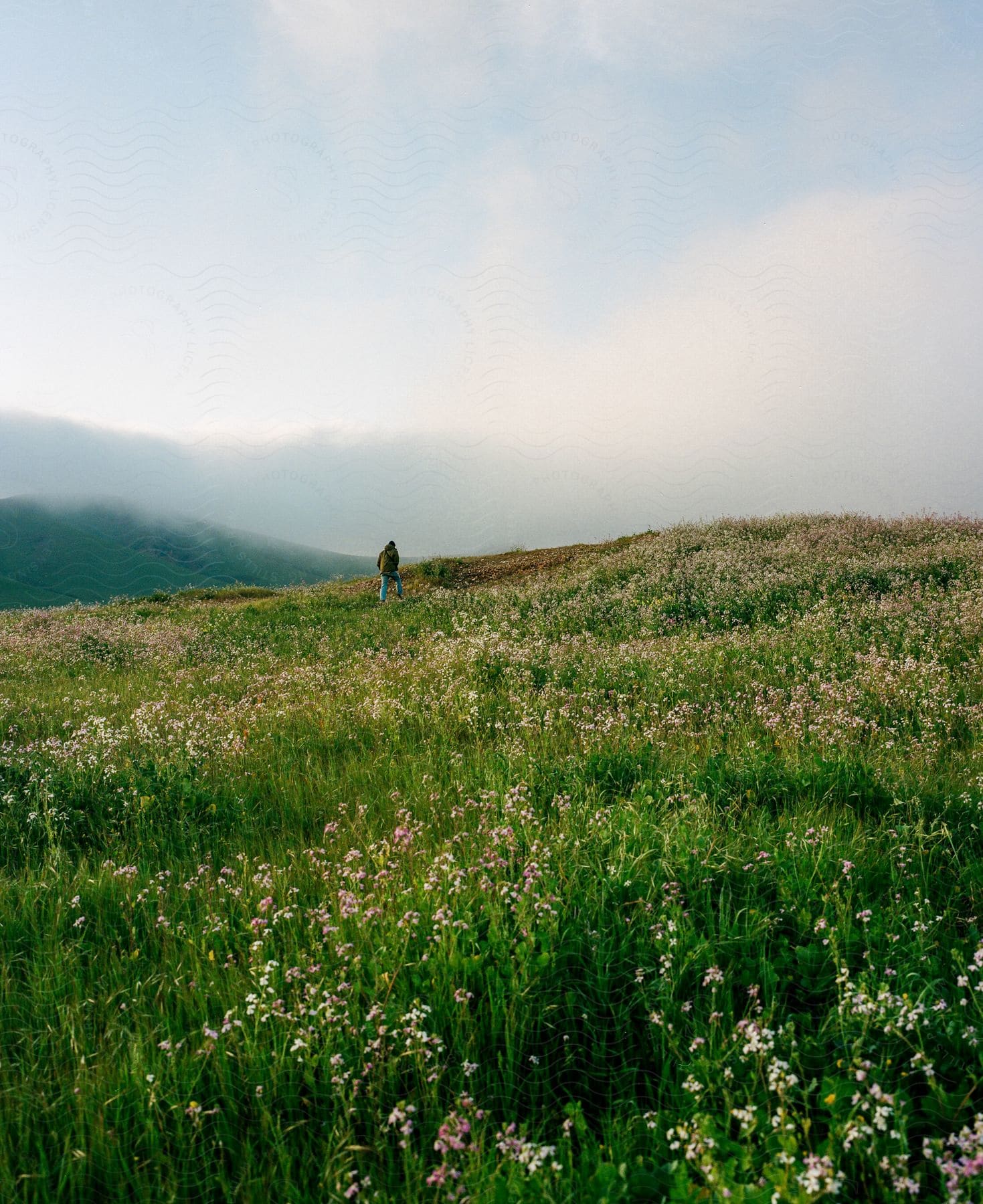 A man walks on a field with high grass and flowers and low hanging clouds in the distance