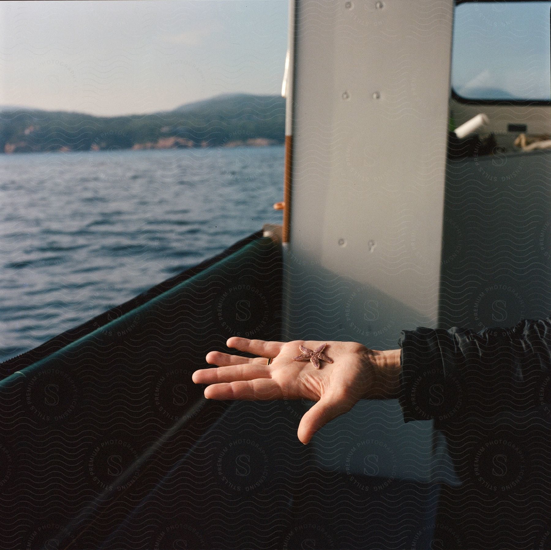 A person holds a starfish in a boat near the ocean with a mountain in view