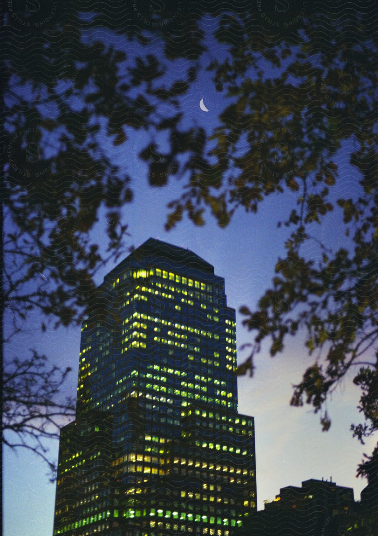 A tall building seen through a forest