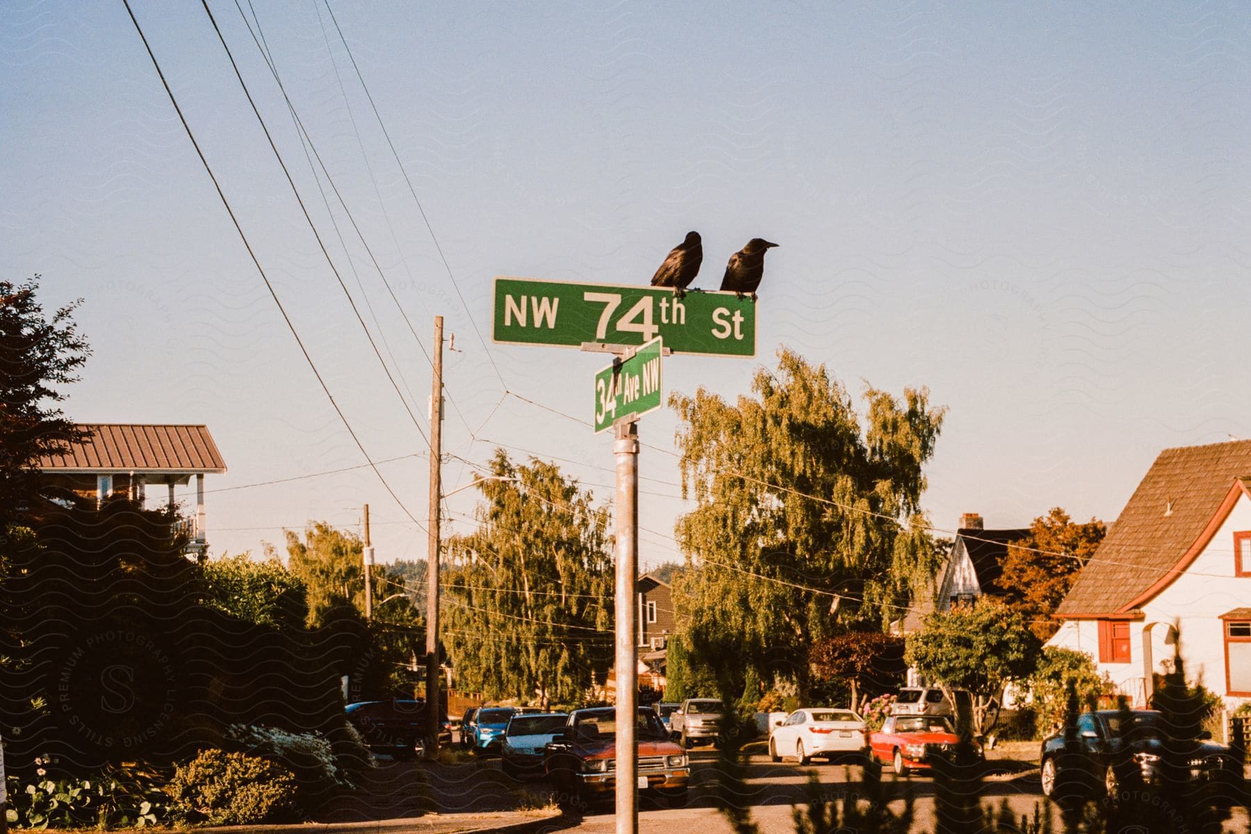 Stock photo of an urban neighborhood with houses trees and a utility pole