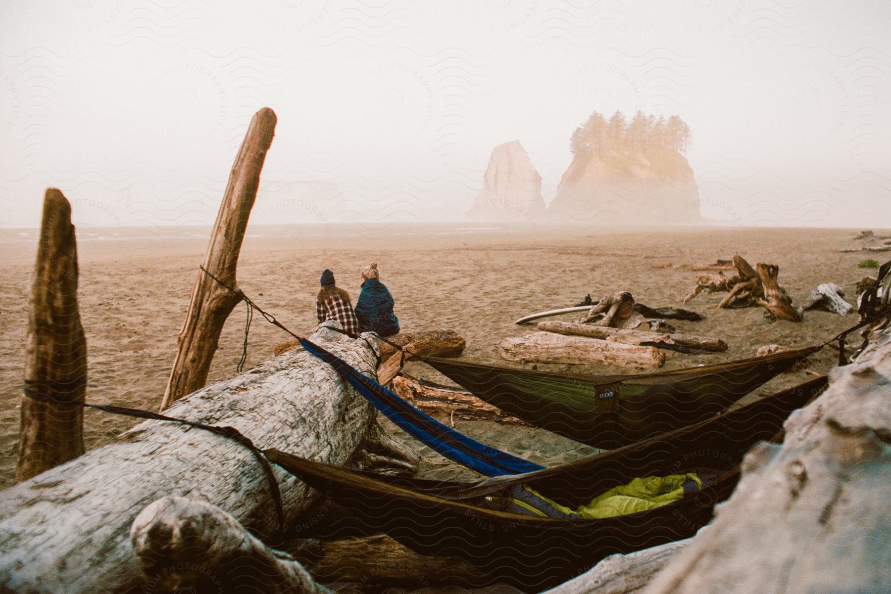 People sitting on a log near a foggy beach with hammocks hanging from logs behind them