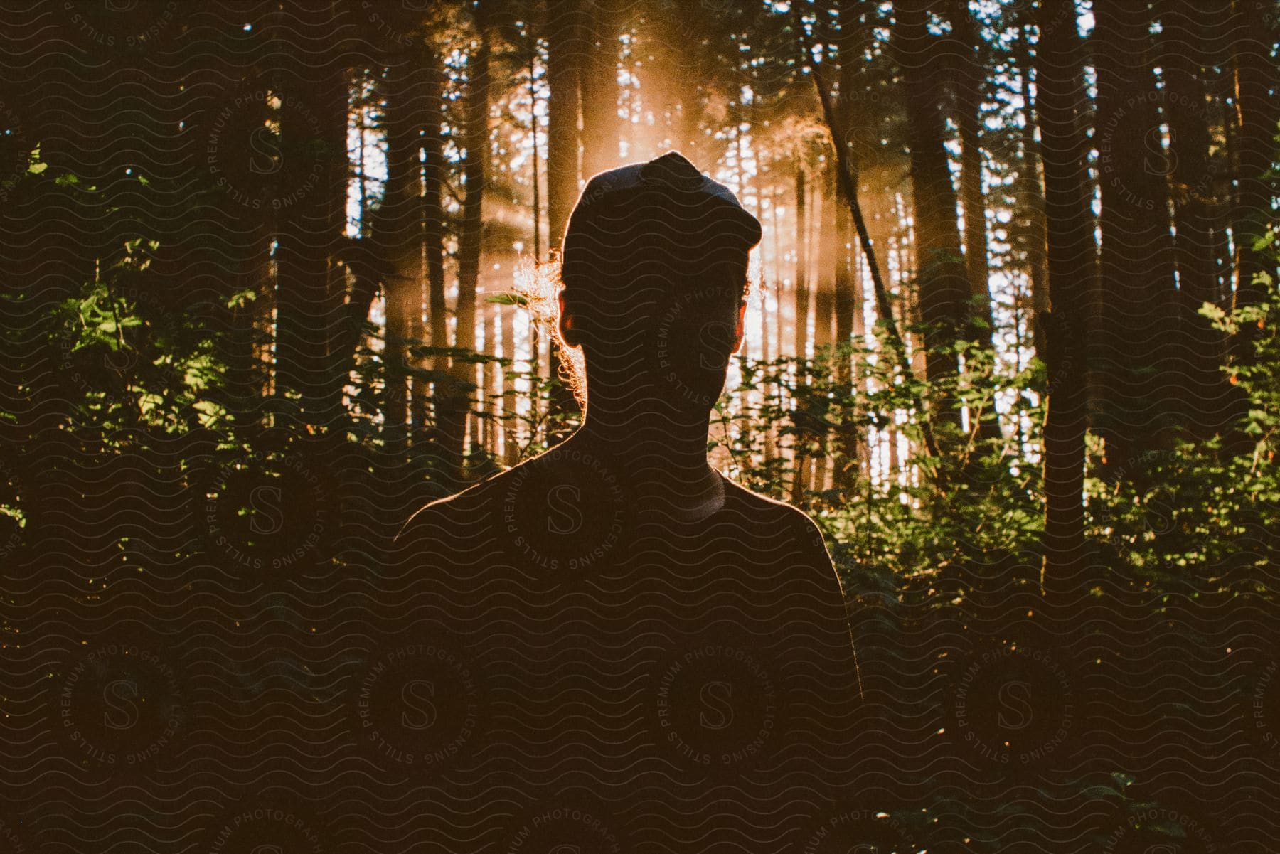 A man standing in a forest with sunlight shining through the trees behind him