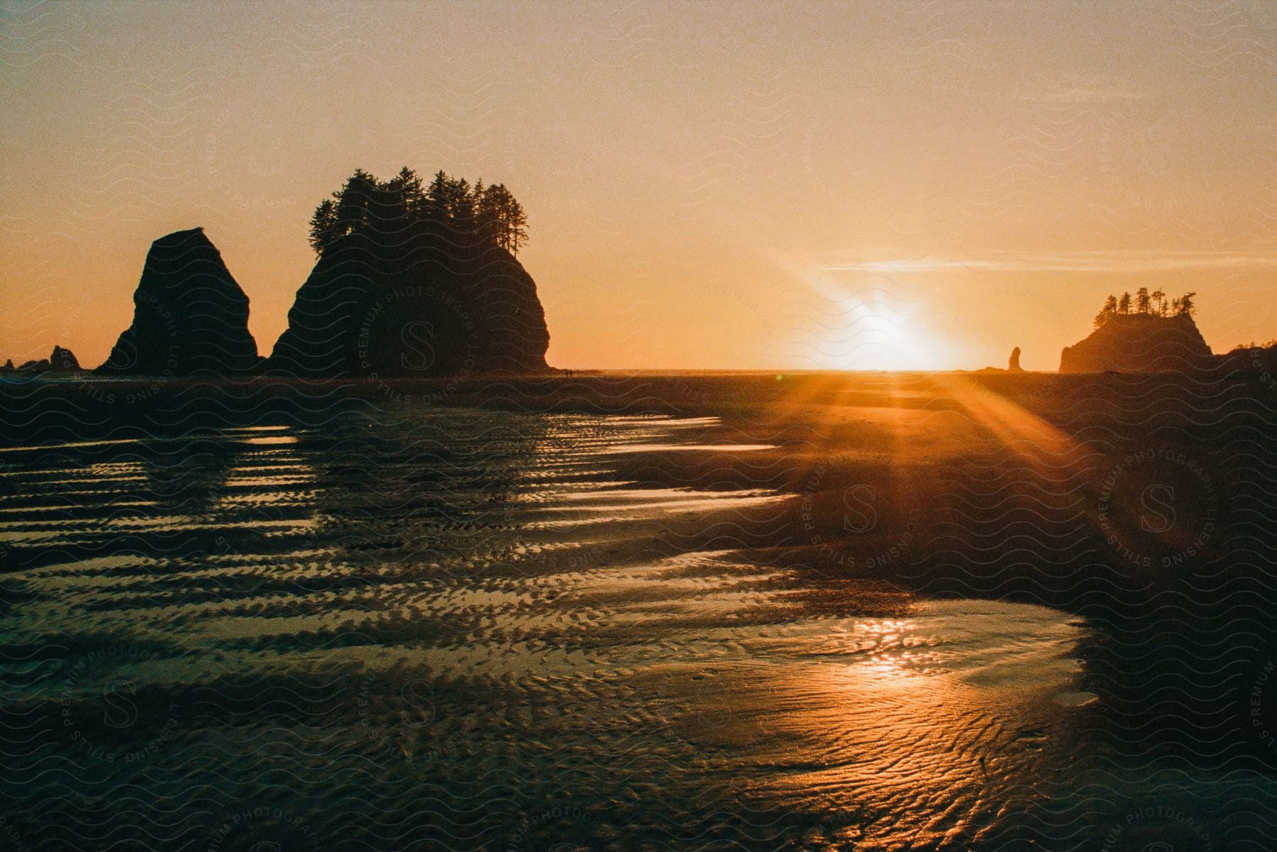 Coastal landscape with small hills and trees at sunset