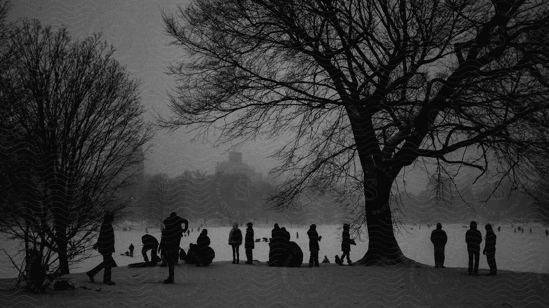 A group of people near a lake in a city