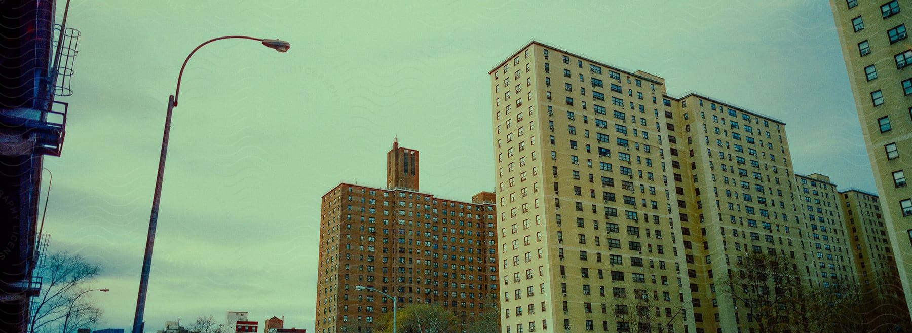 Leafless trees separate rows of apartment buildings under an overcast sky