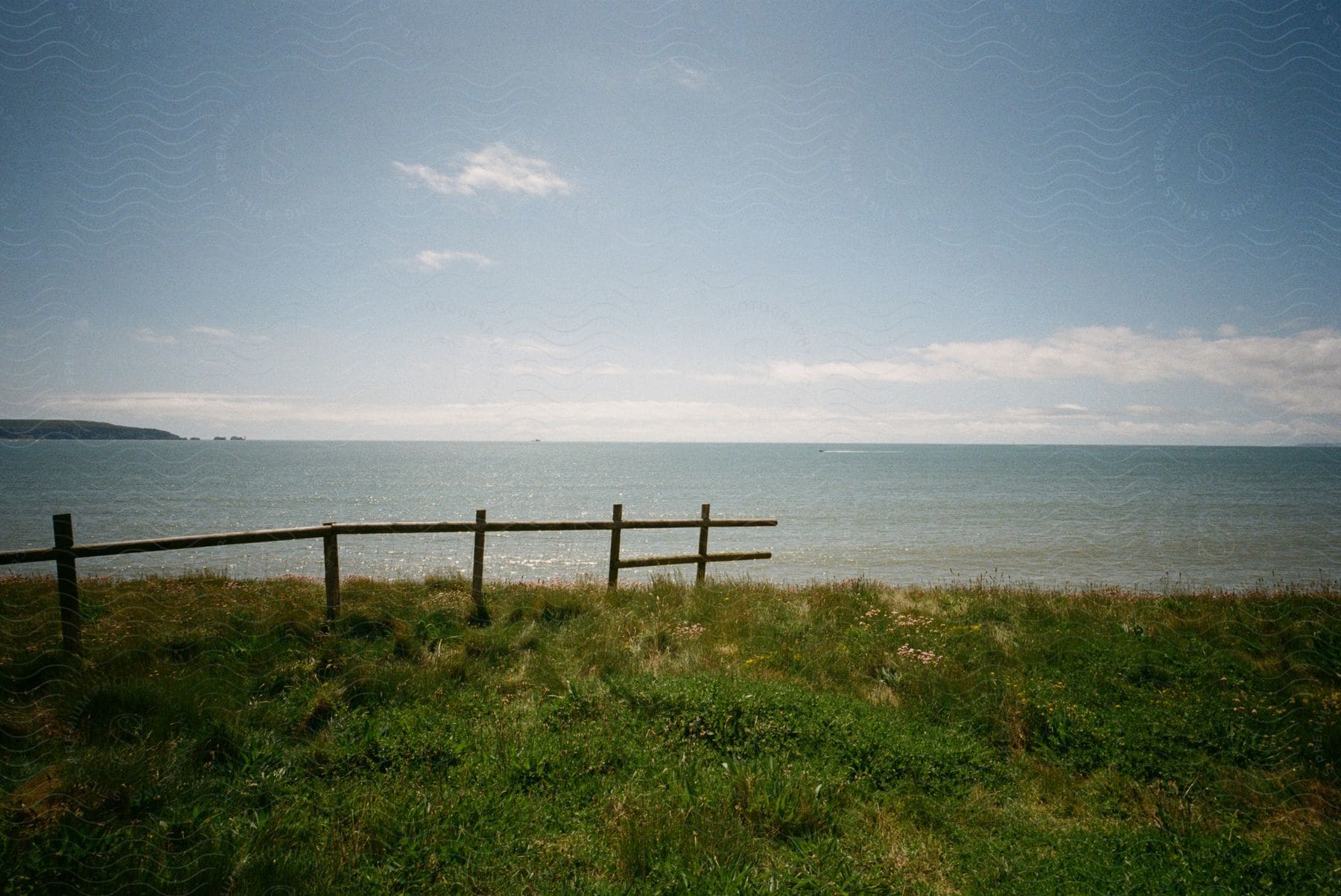 A fence separates a field from the sea