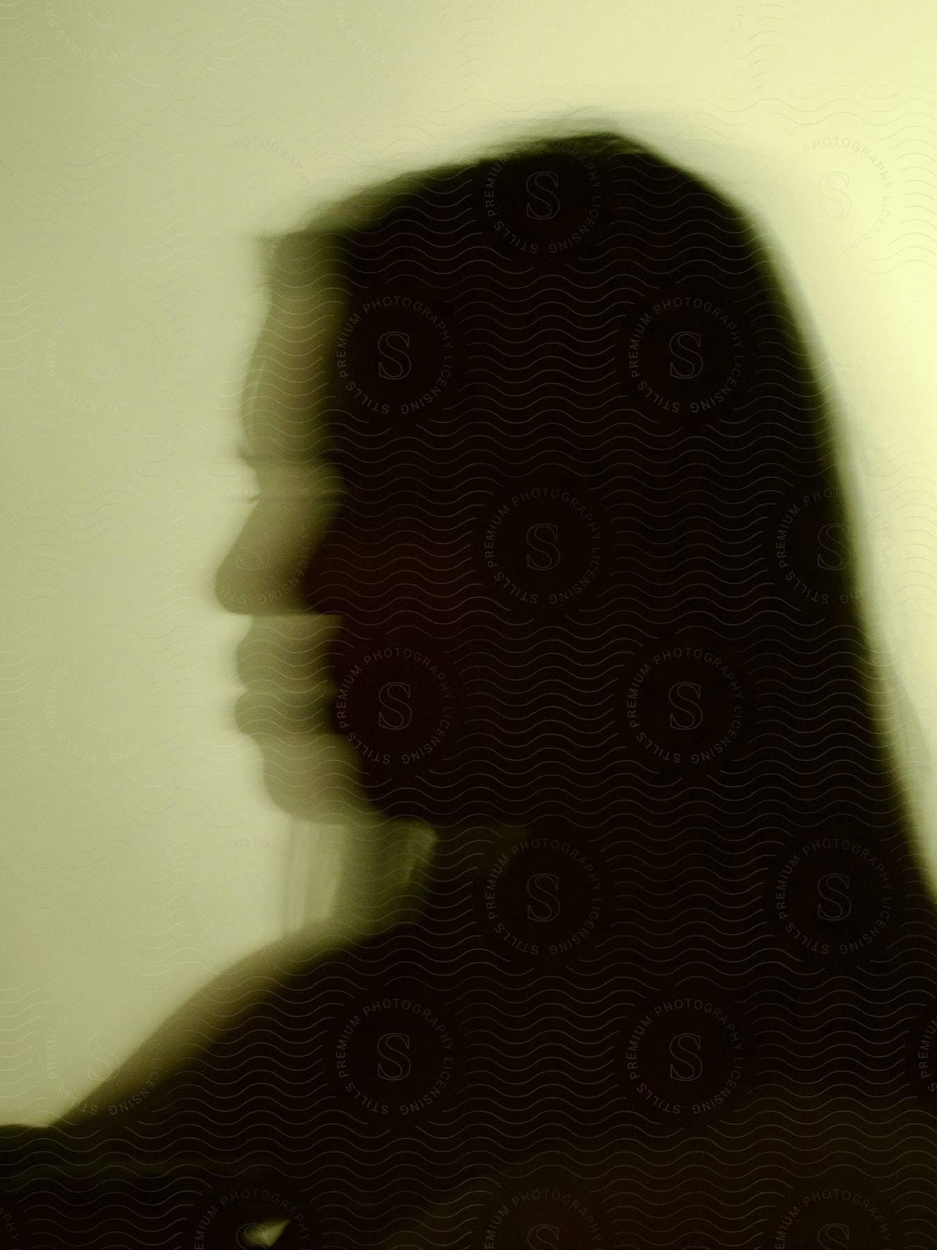 A womans blurred profile in shadow