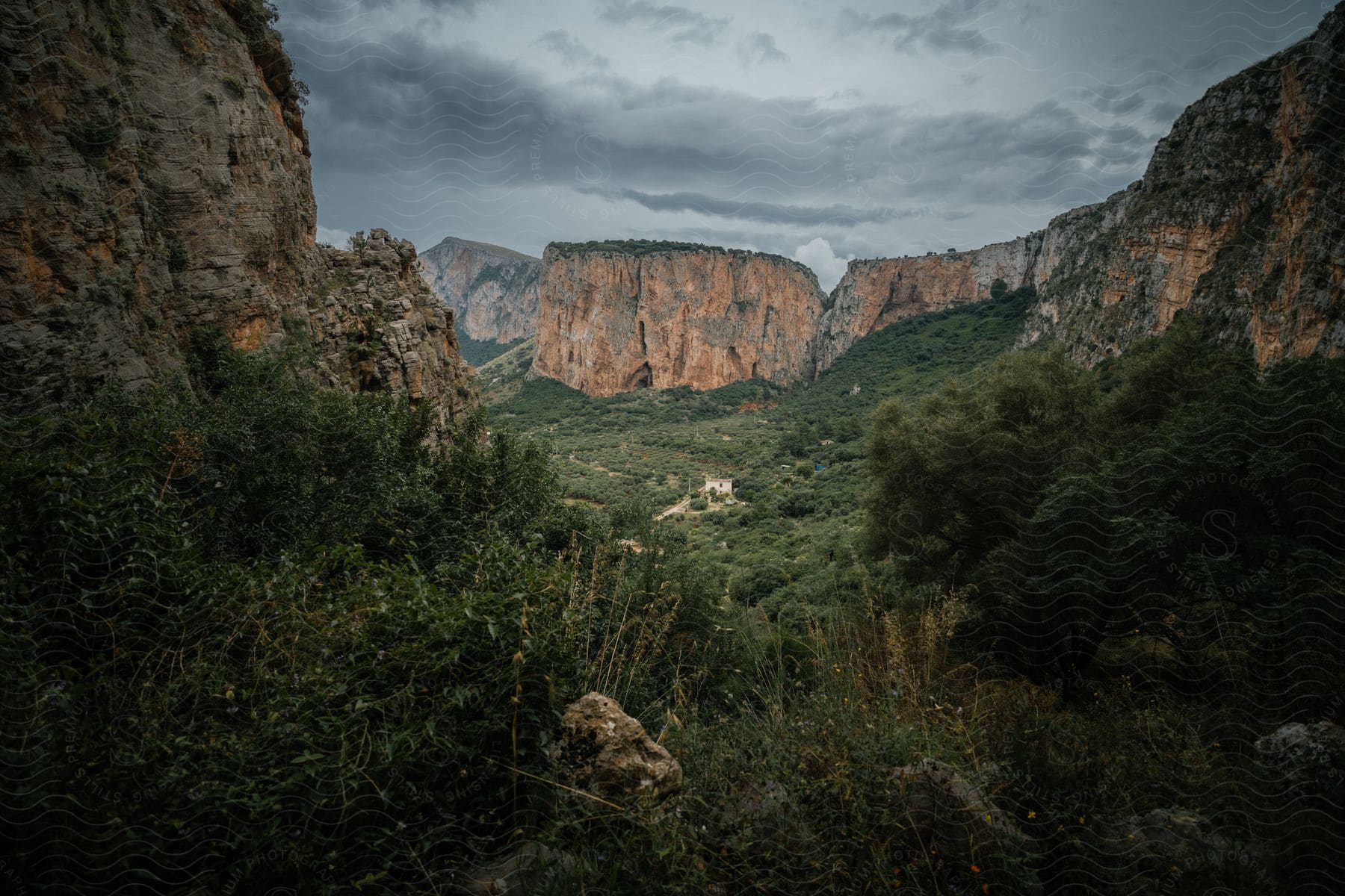 A forested valley lies between mountainous cliffs under grey cloudy skies