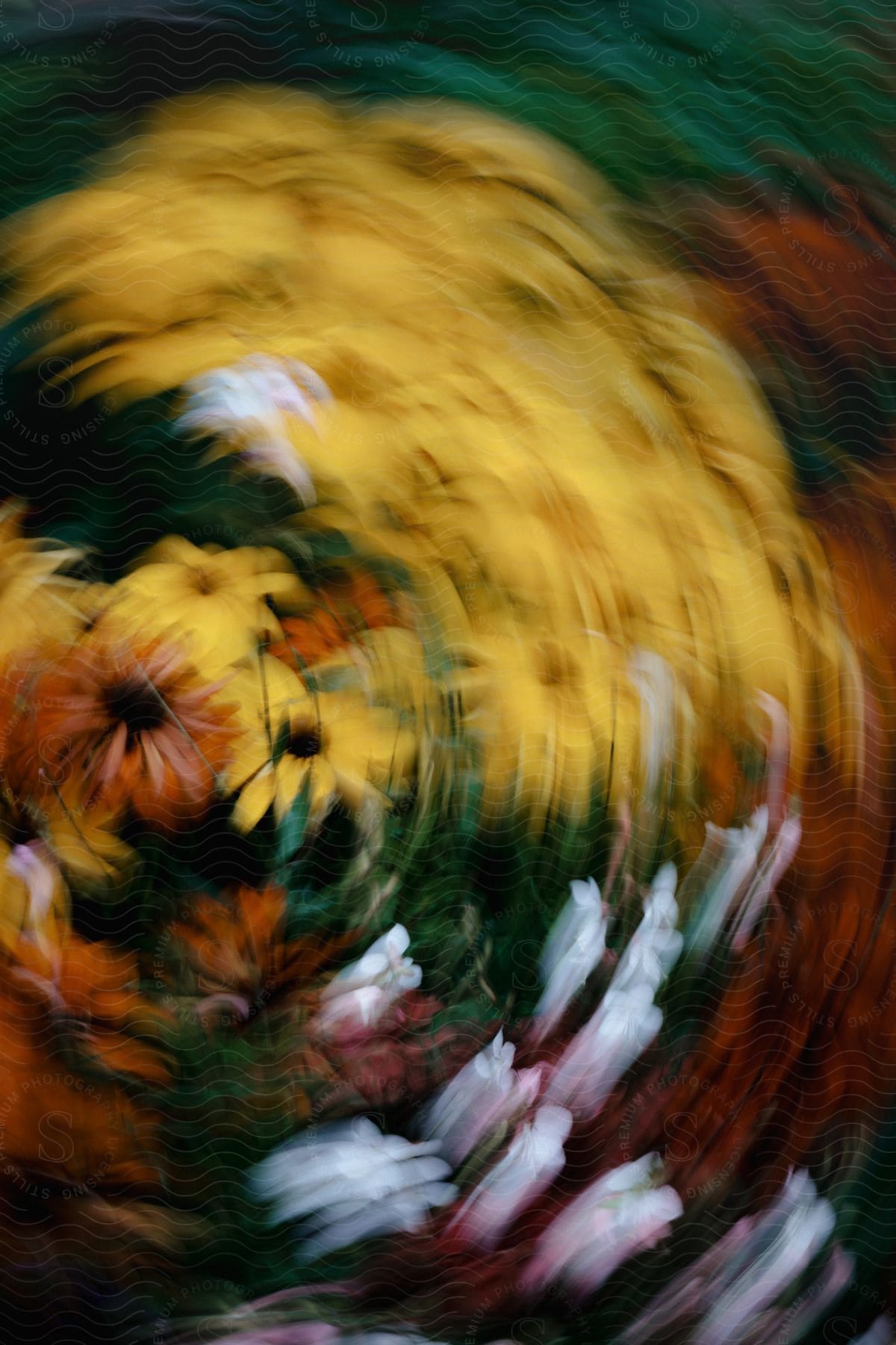 Abstract flowers swirling and blurry in vibrant colors