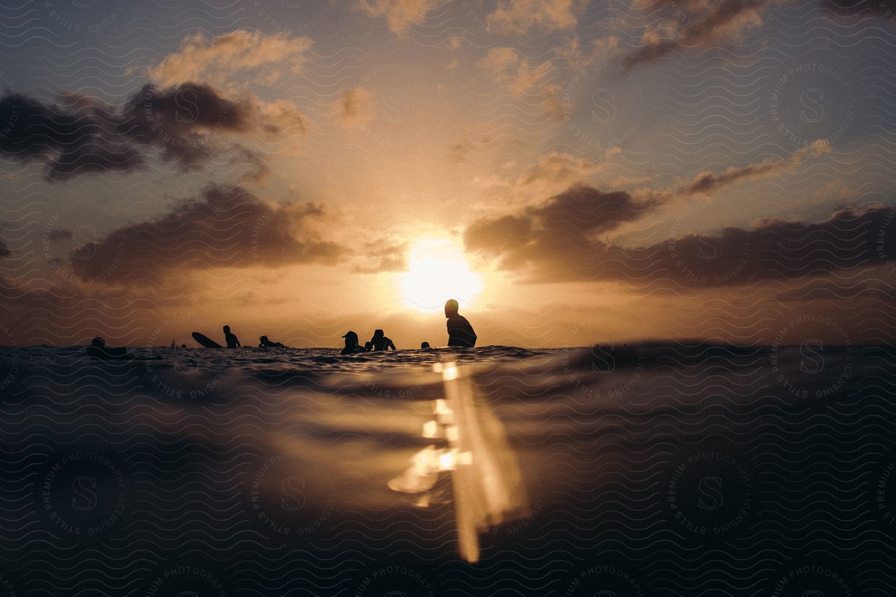 Silhouetted surfers float on surfboards in front of a setting sun