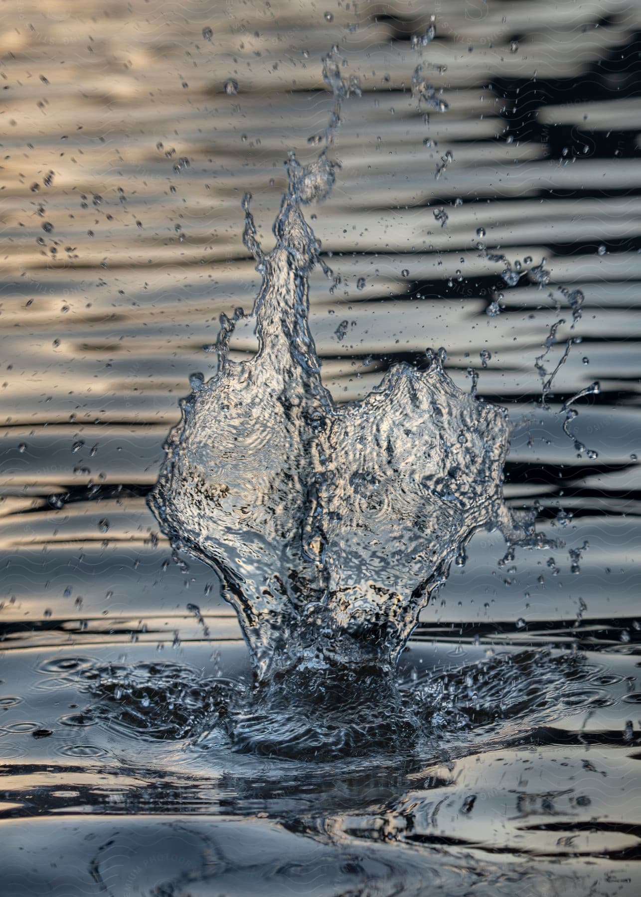 An object causing ripples in water