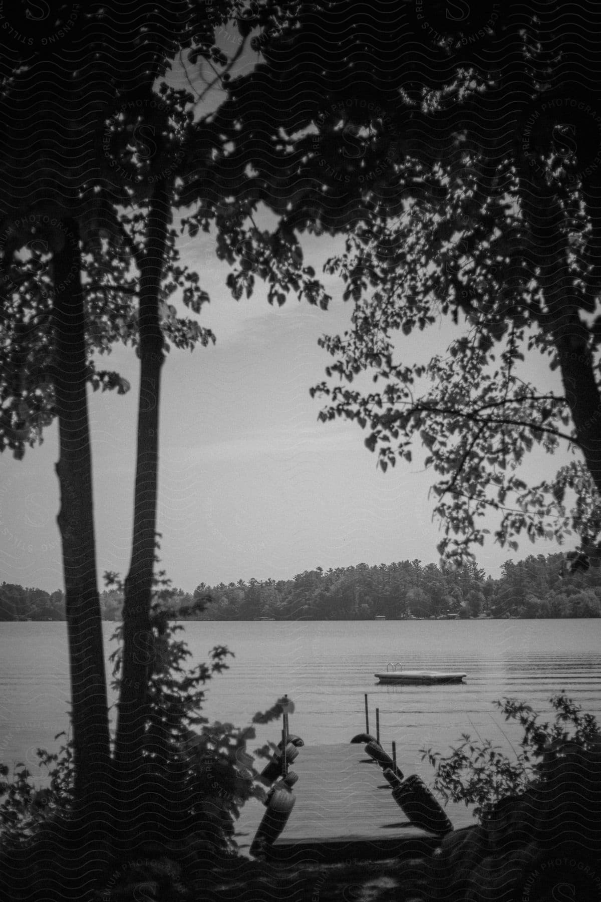 River with canoe and trees in black and white