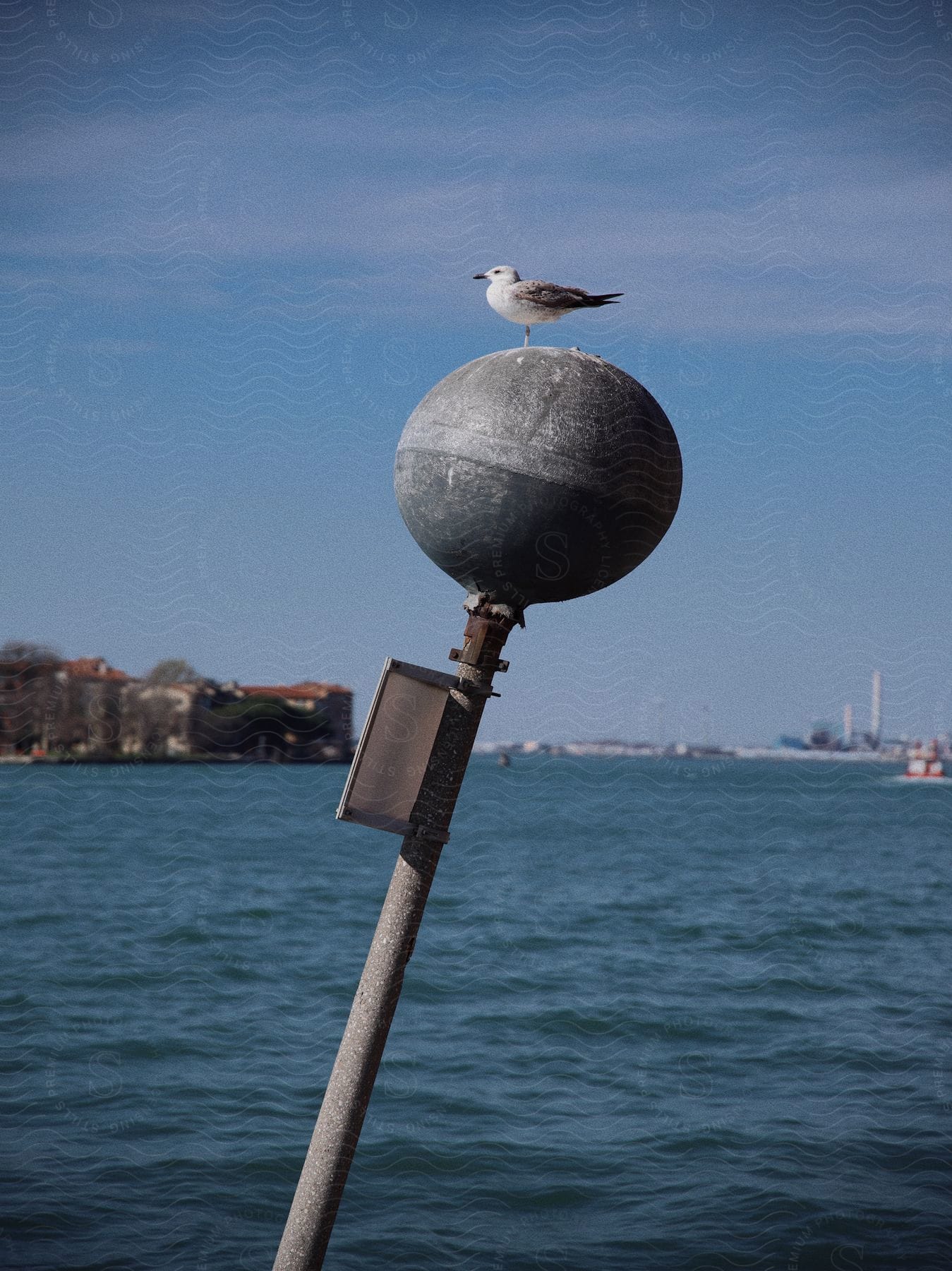 A seagull sitting on top of a ocean buoy with a city in the background on the coast.