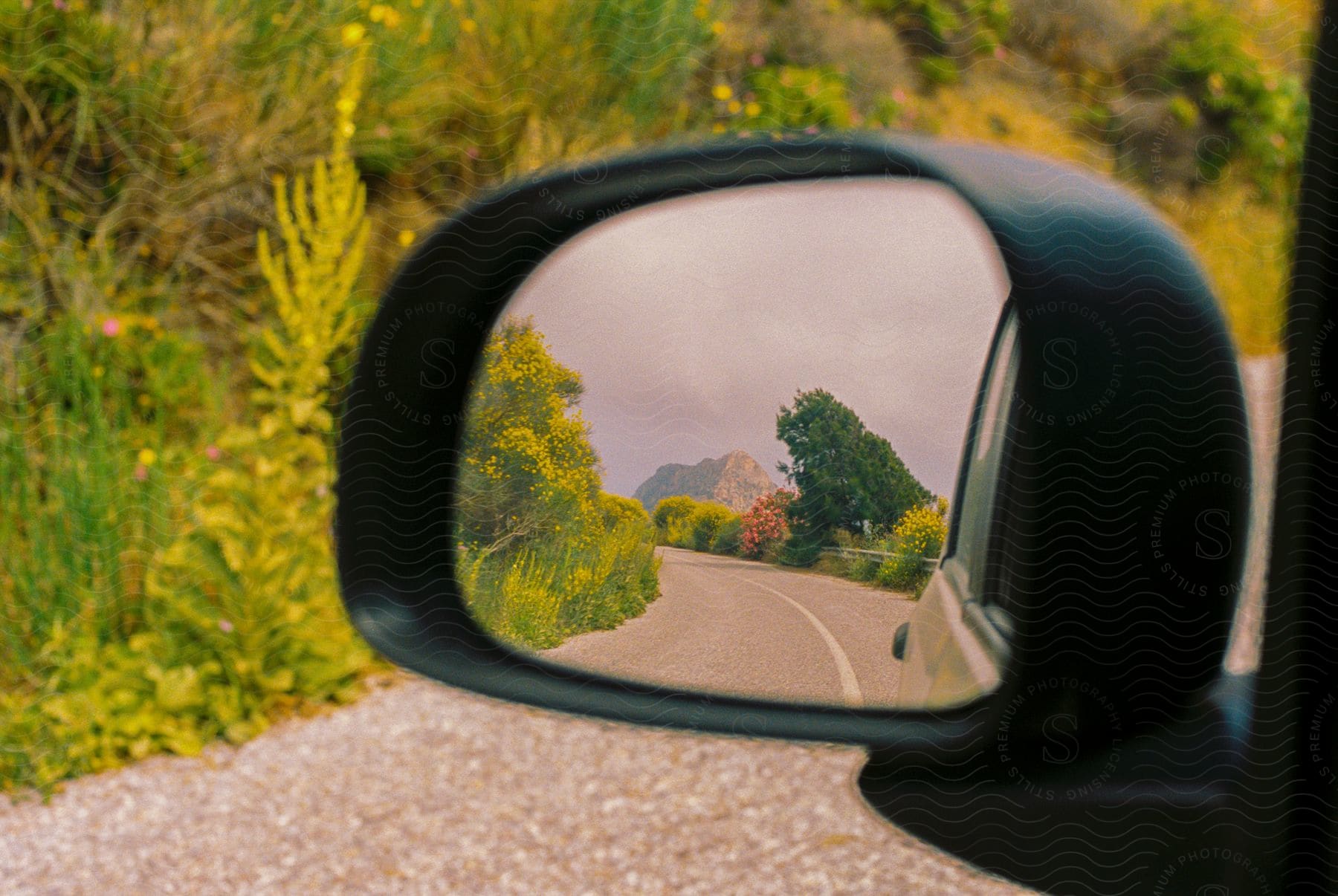 A country road seen through a car's side mirror.